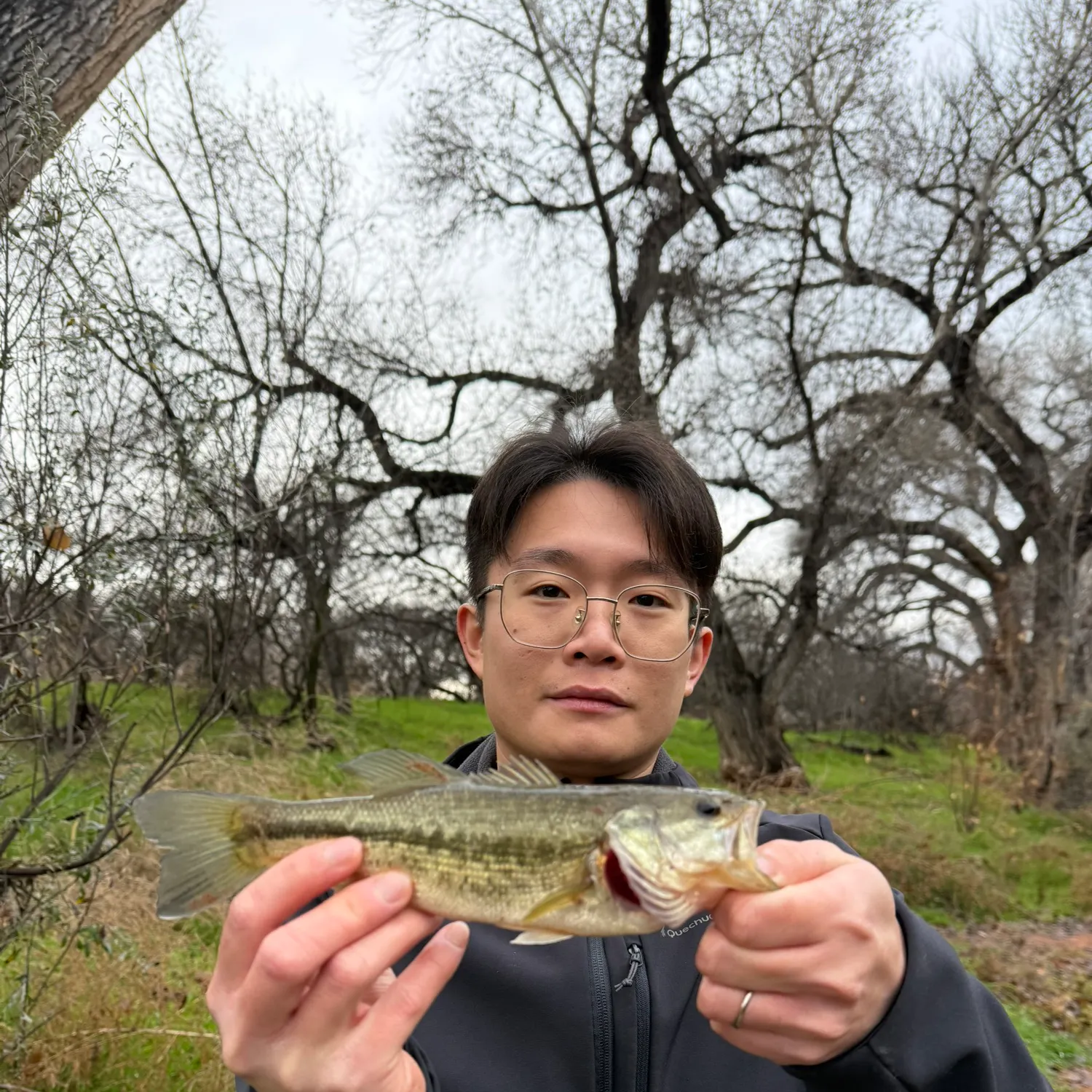 The most recent Spotted bass catches on Fishbrain