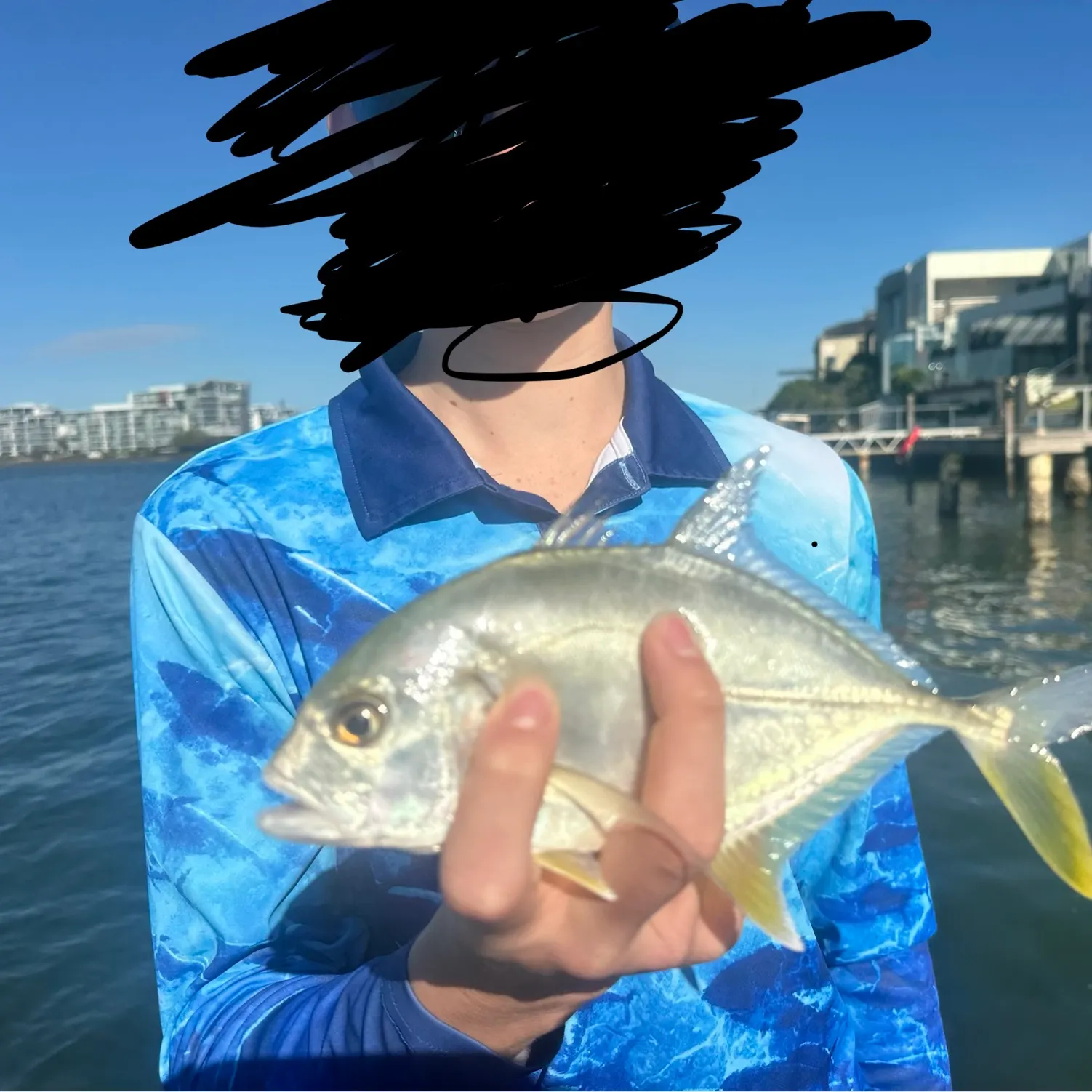 The most recent Brassy trevally catches on Fishbrain