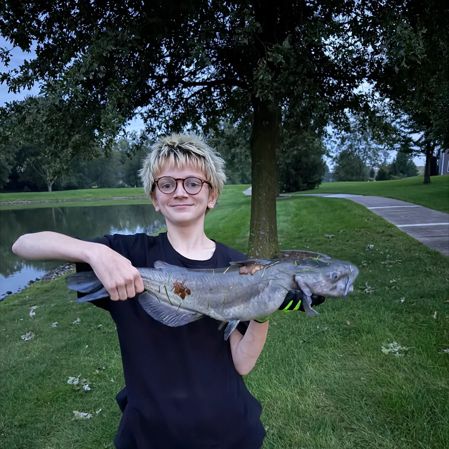 Channel catfish caught on Fishbrain