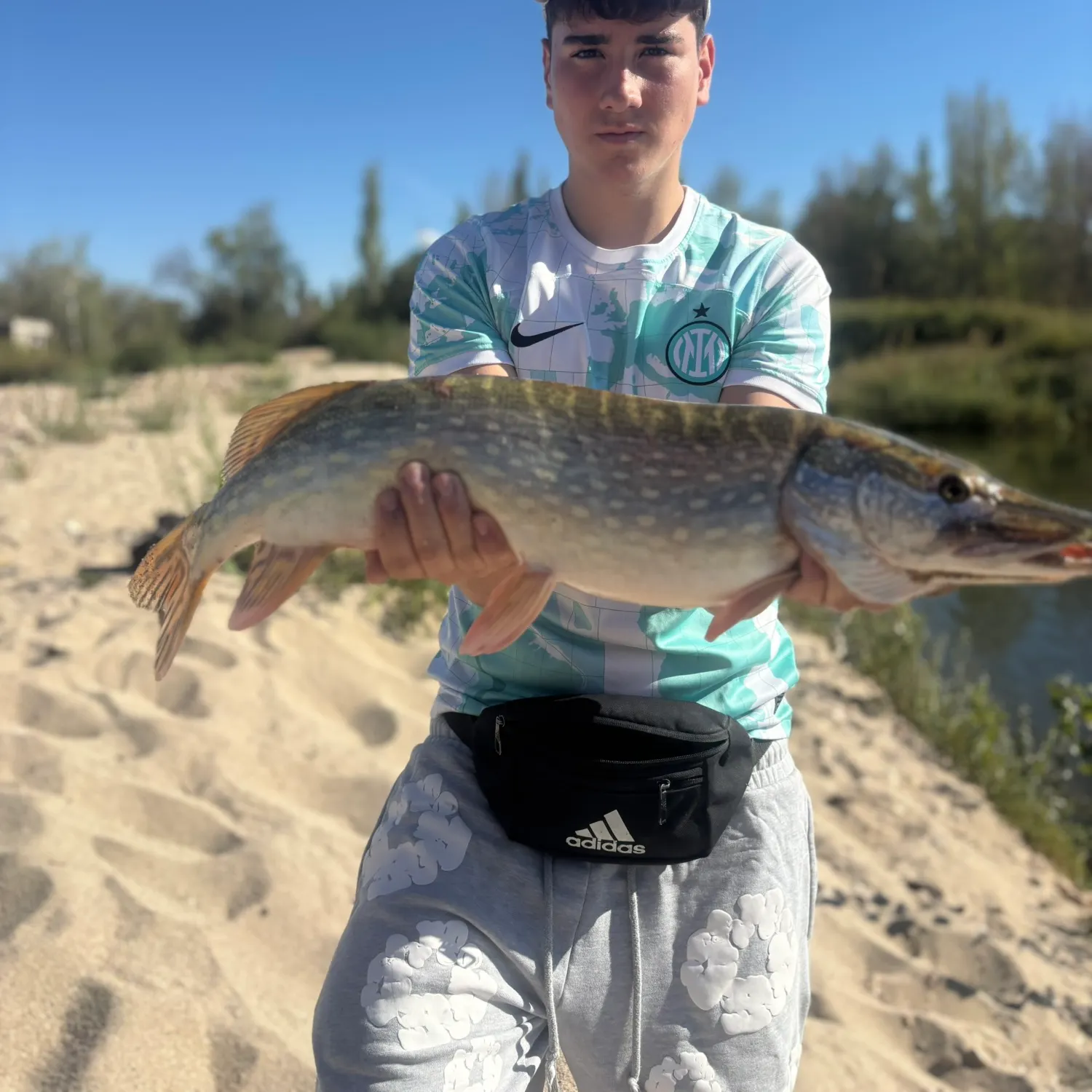 Northern pike caught on Fishbrain