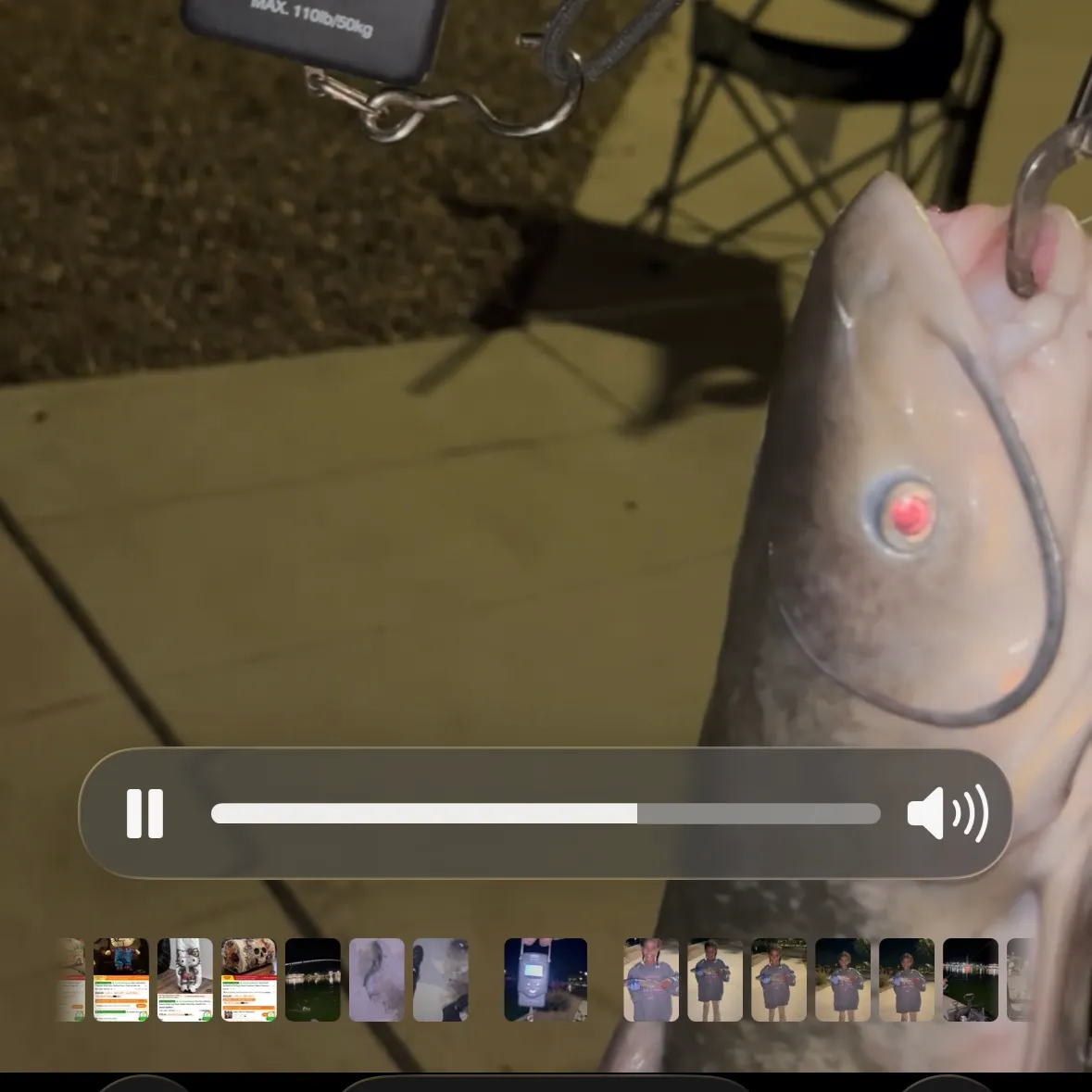 recently logged catches