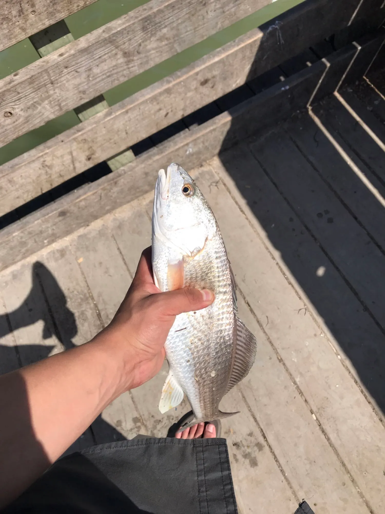 Post image from msegura1873