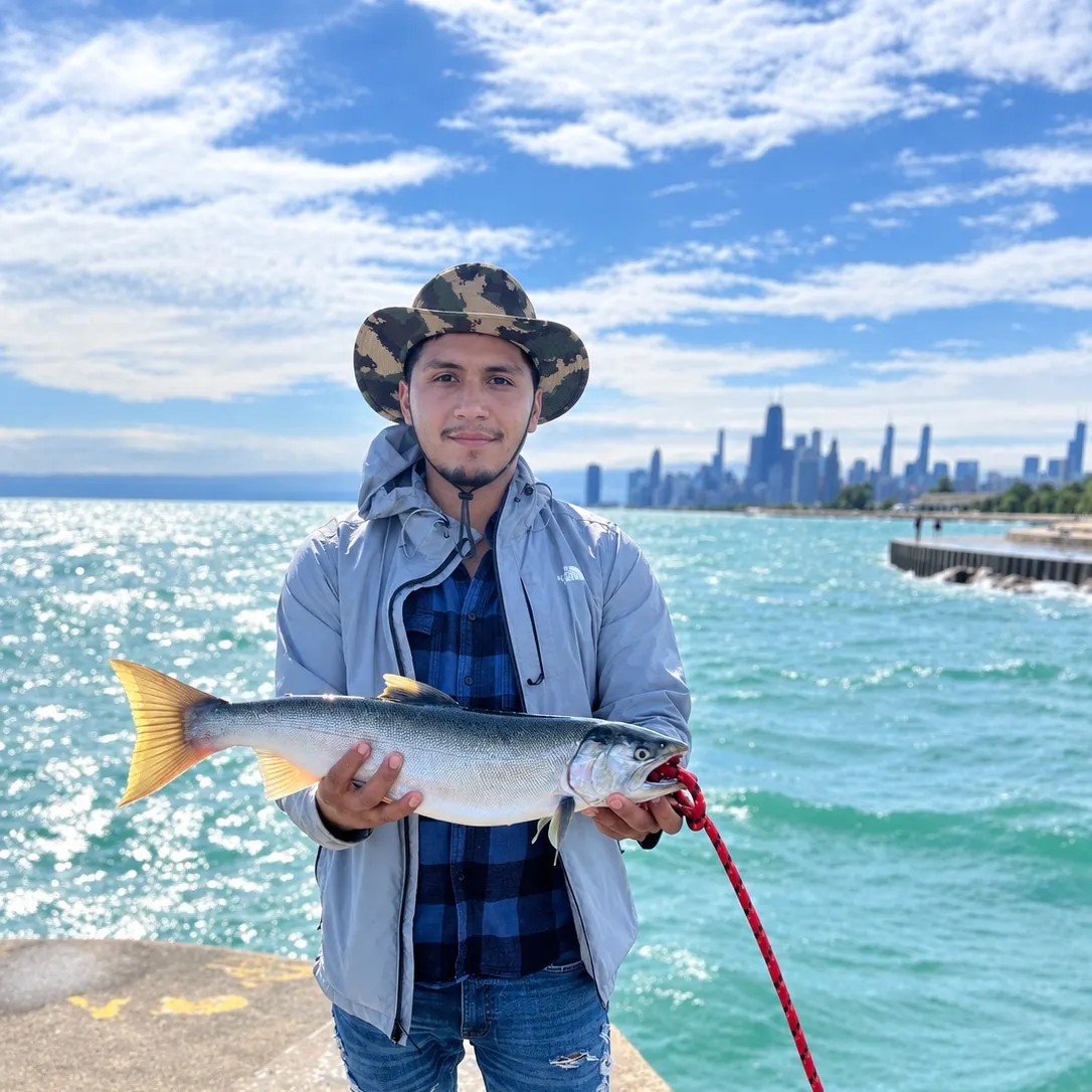 Fish caught on Fishbrain