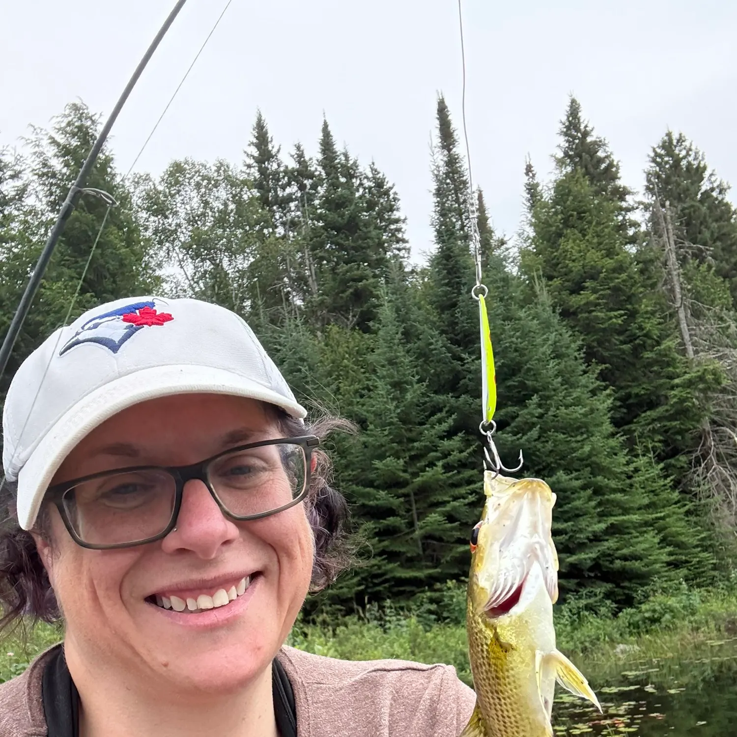 Rock bass caught on Fishbrain