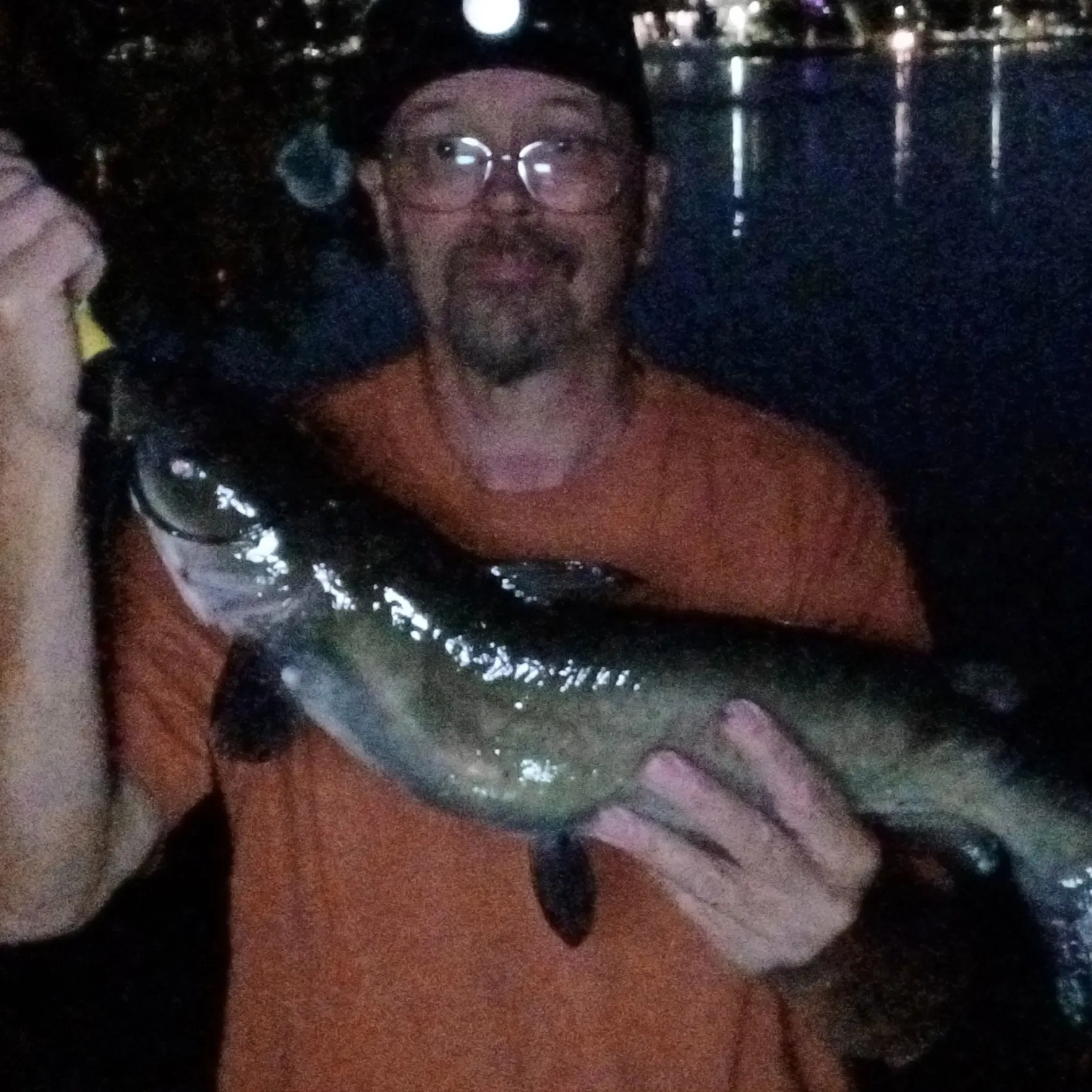 Channel catfish caught on Fishbrain