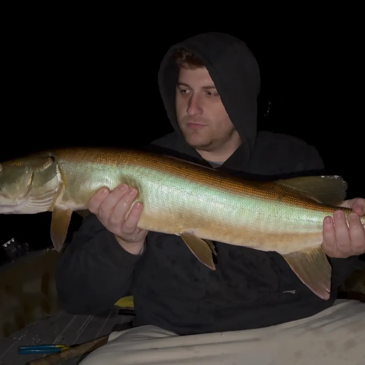 The most recent Muskie catches on Fishbrain