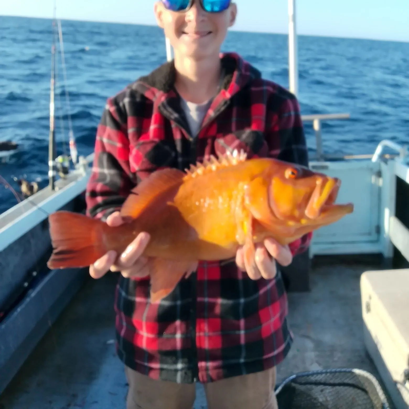 The most recent Breaksea cod catches on Fishbrain