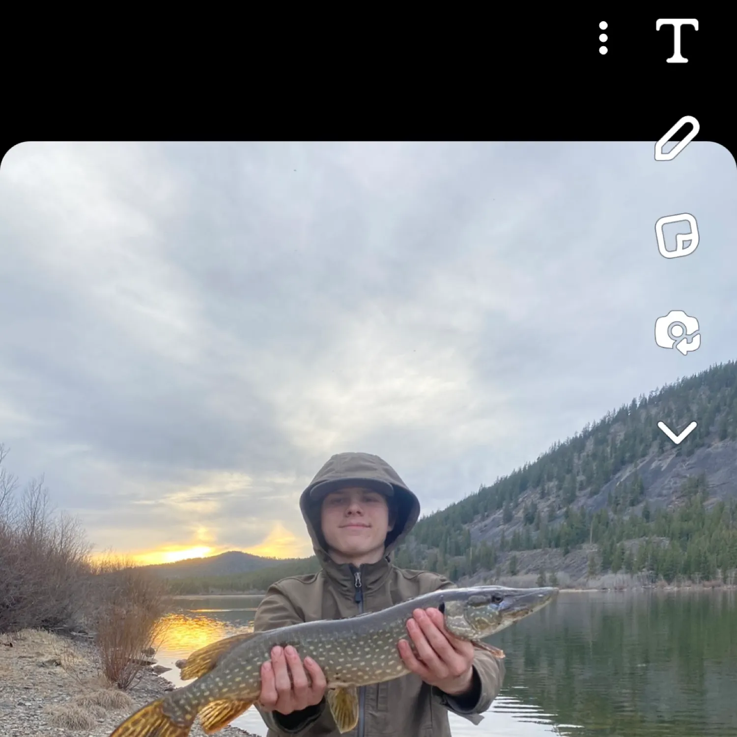 recently logged catches