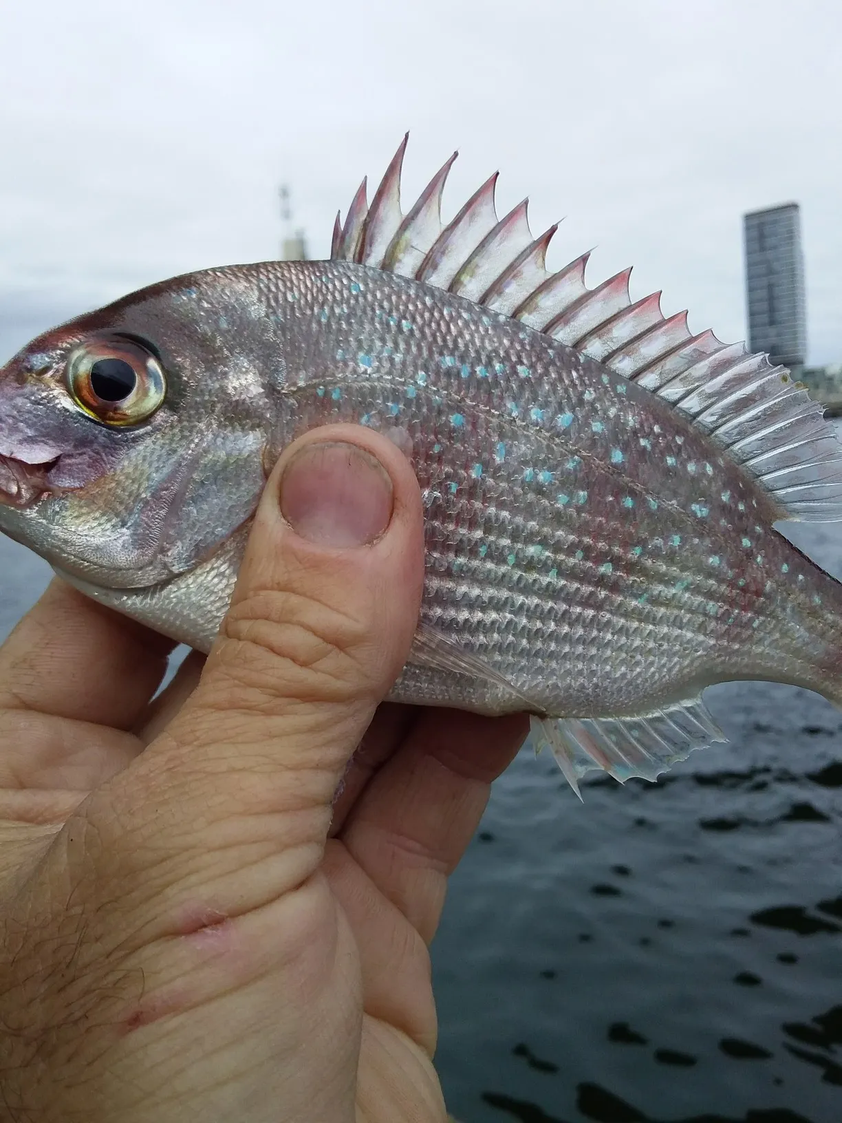 Post image from paulwright8045