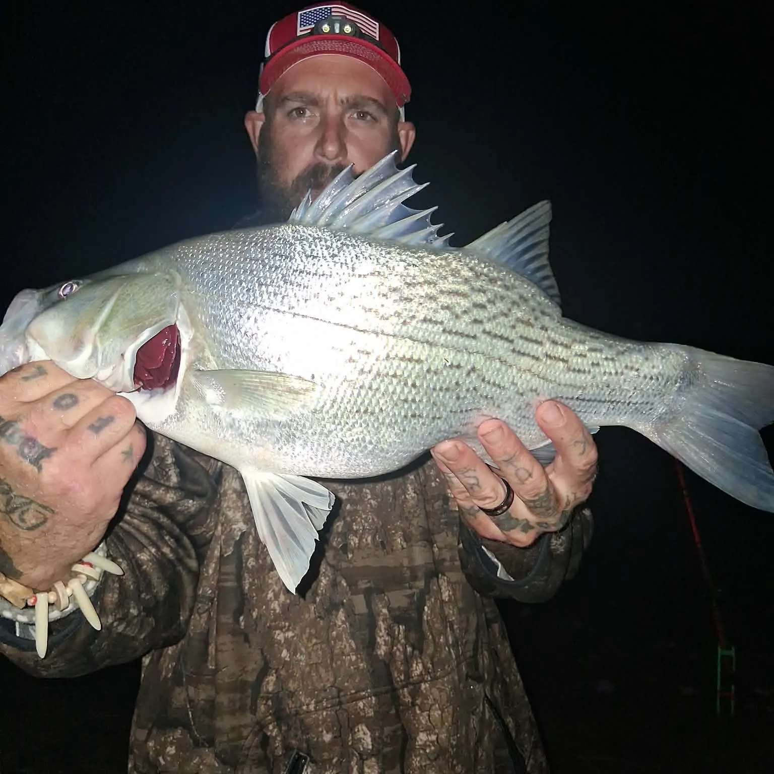 Wiper caught on Fishbrain