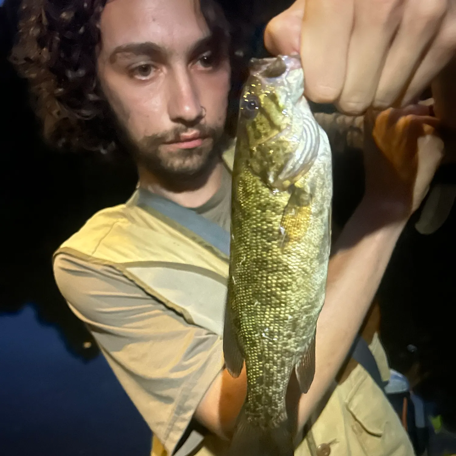 Smallmouth bass caught on Fishbrain