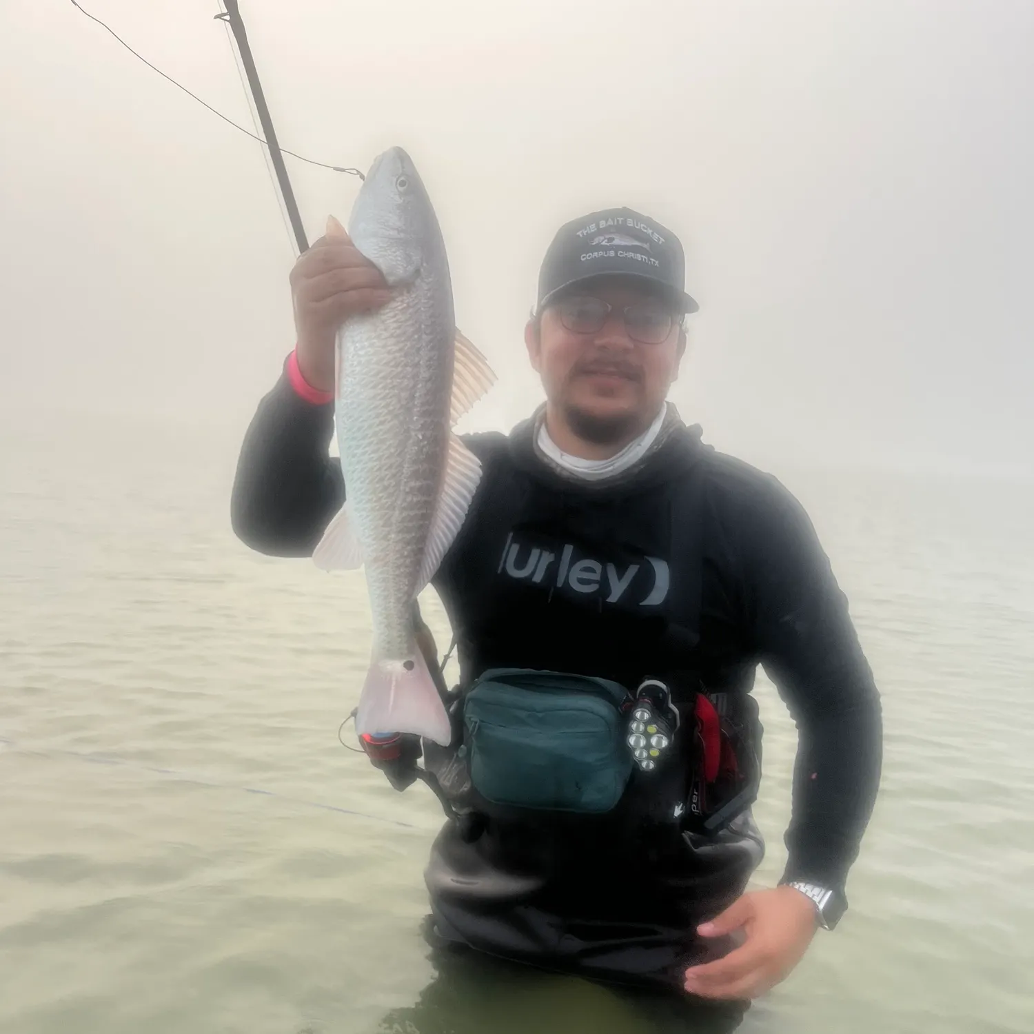 The most recent Red drum catches on Fishbrain