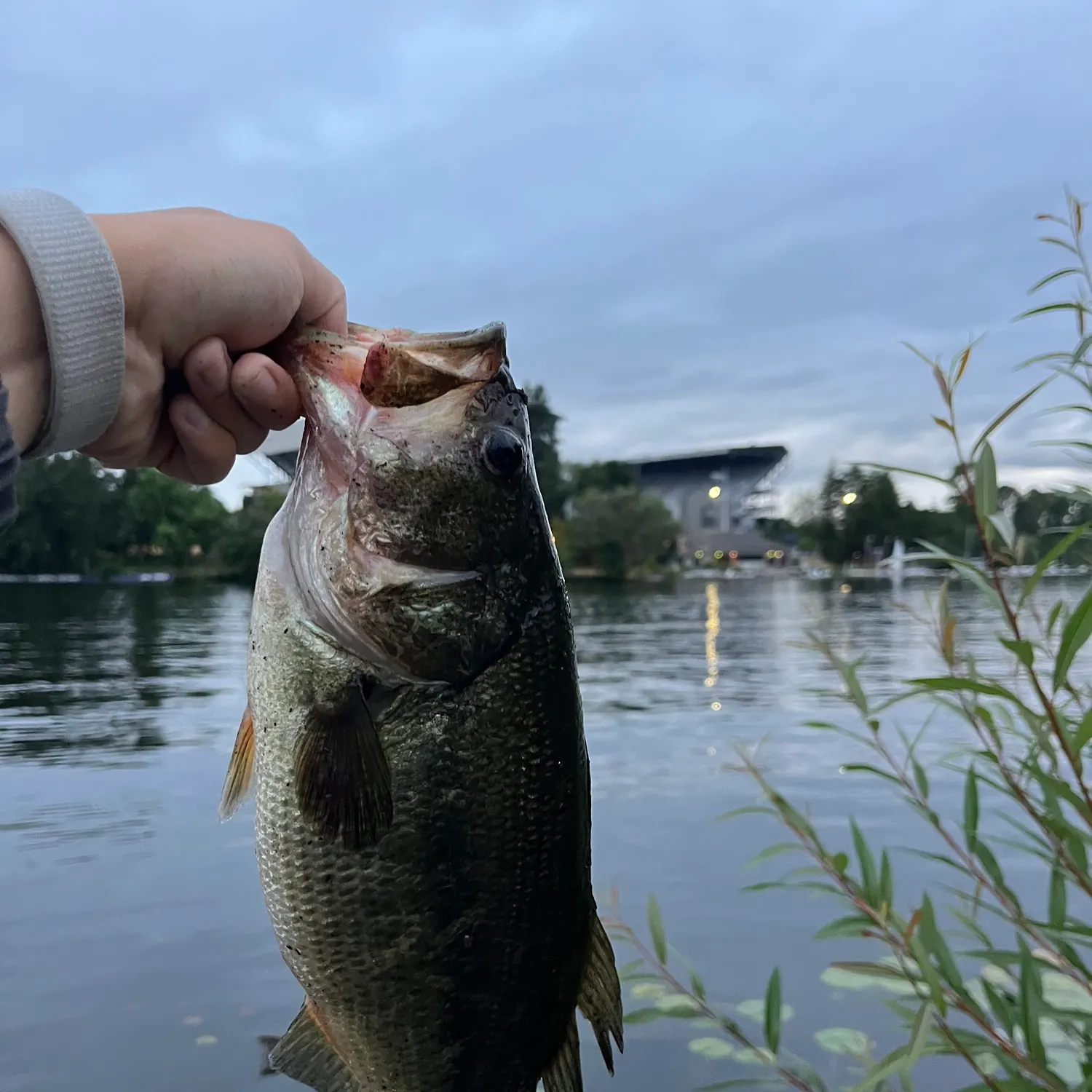 catch