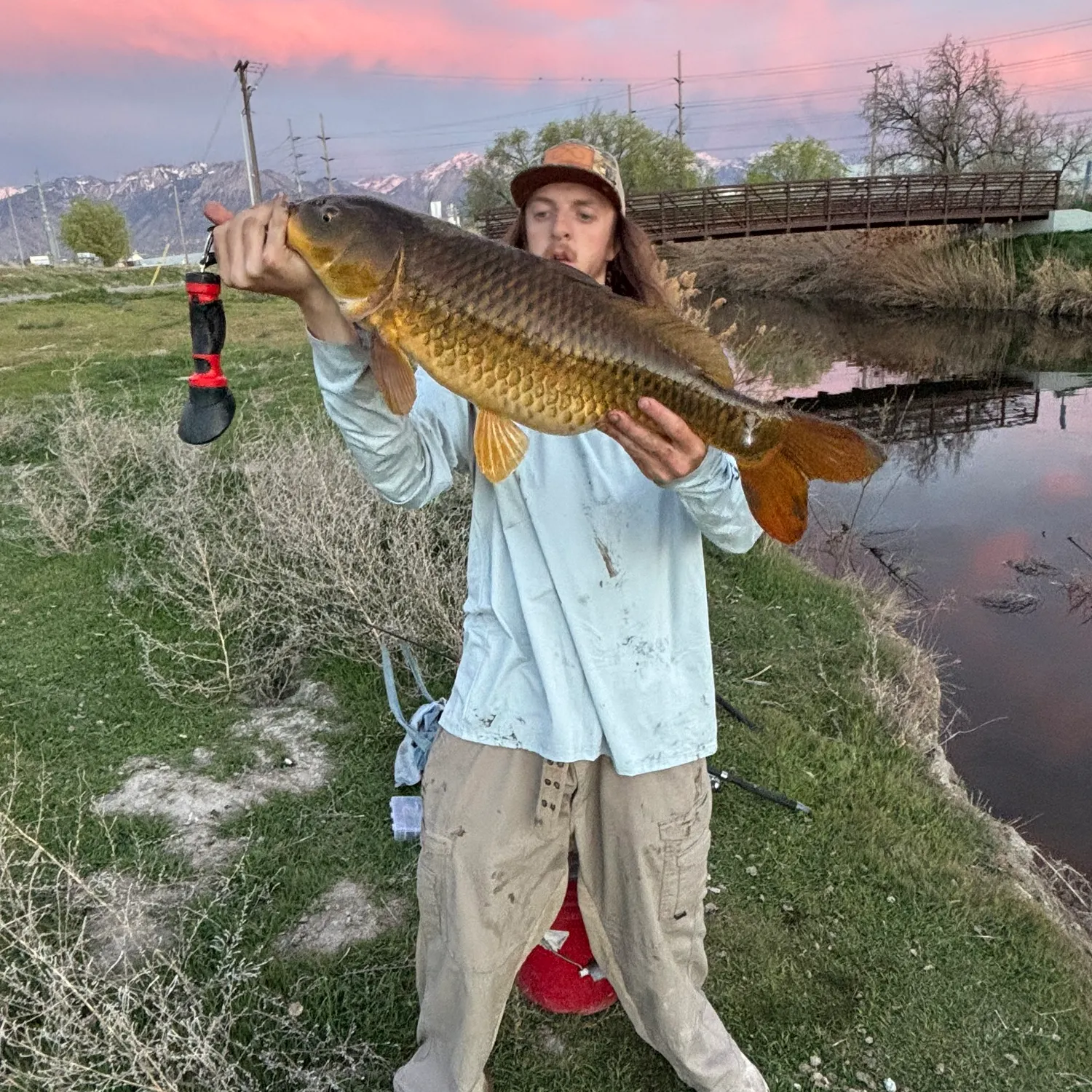 The most recent Common carp catches on Fishbrain