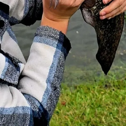 most liked catch image