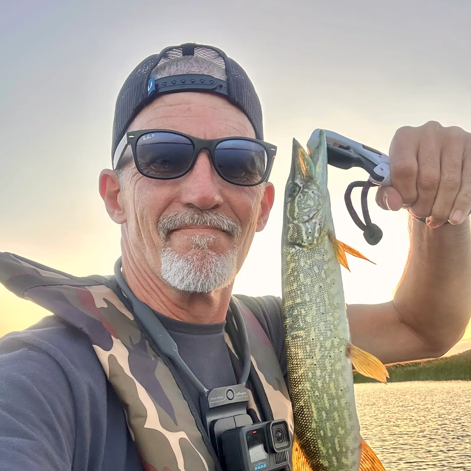 Northern pike caught on Fishbrain