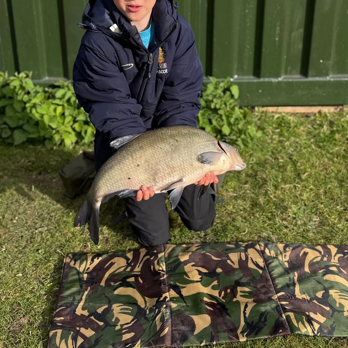 The most recent Common bream catches on Fishbrain