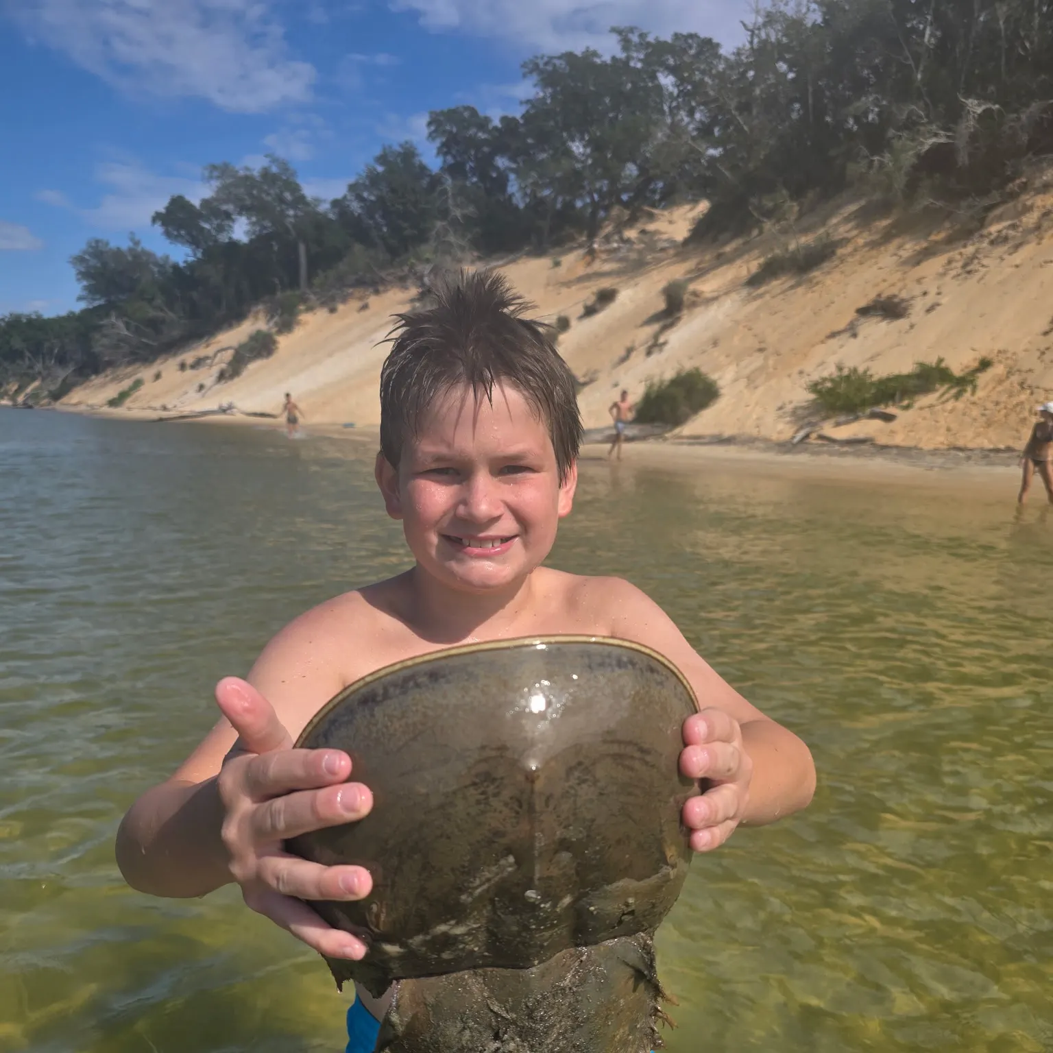 The most recent Atlantic horseshoe crab catches on Fishbrain