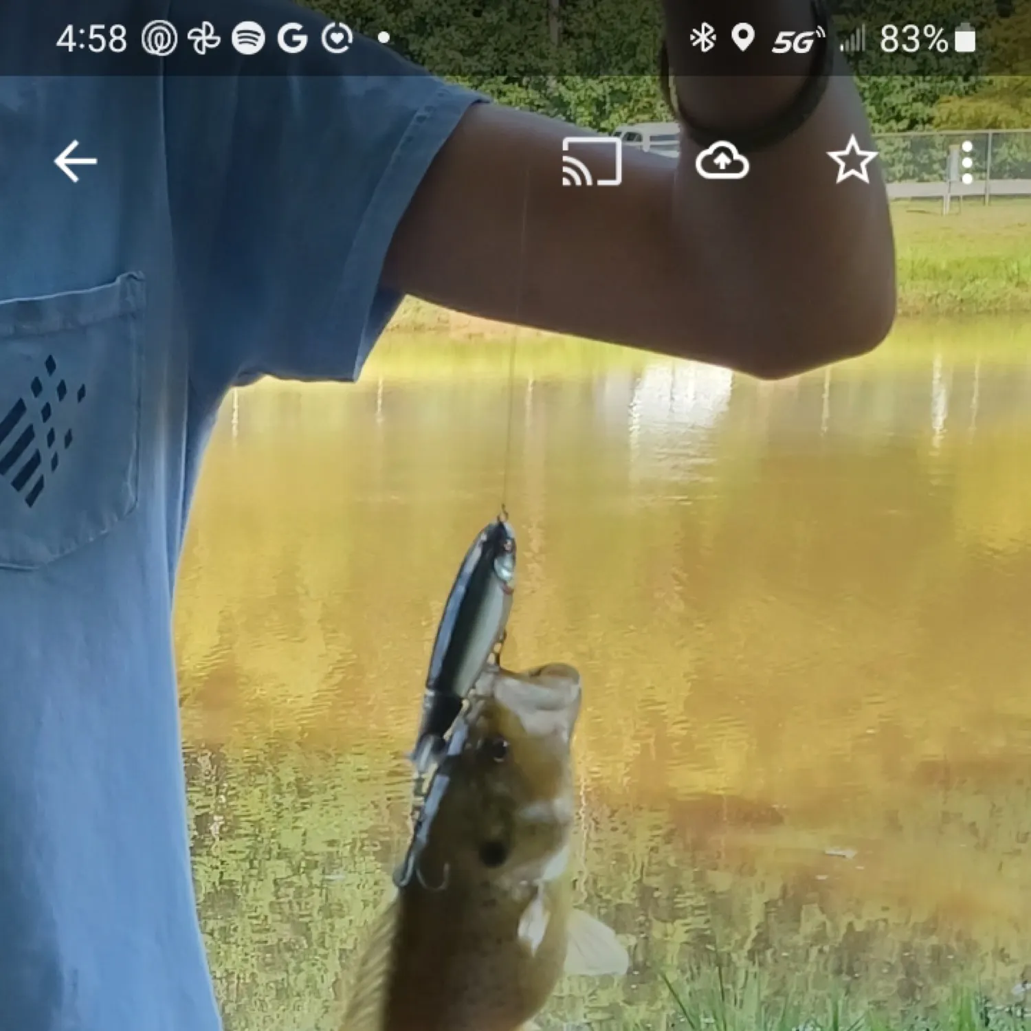 recently logged catches