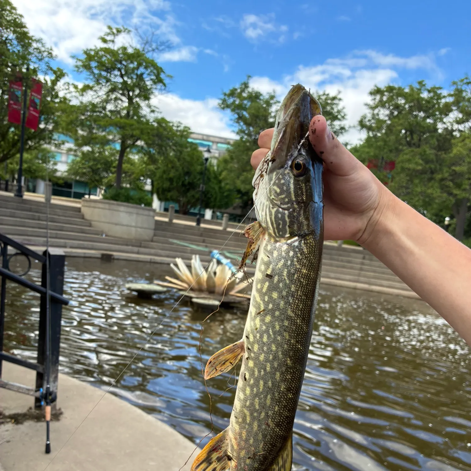 catch