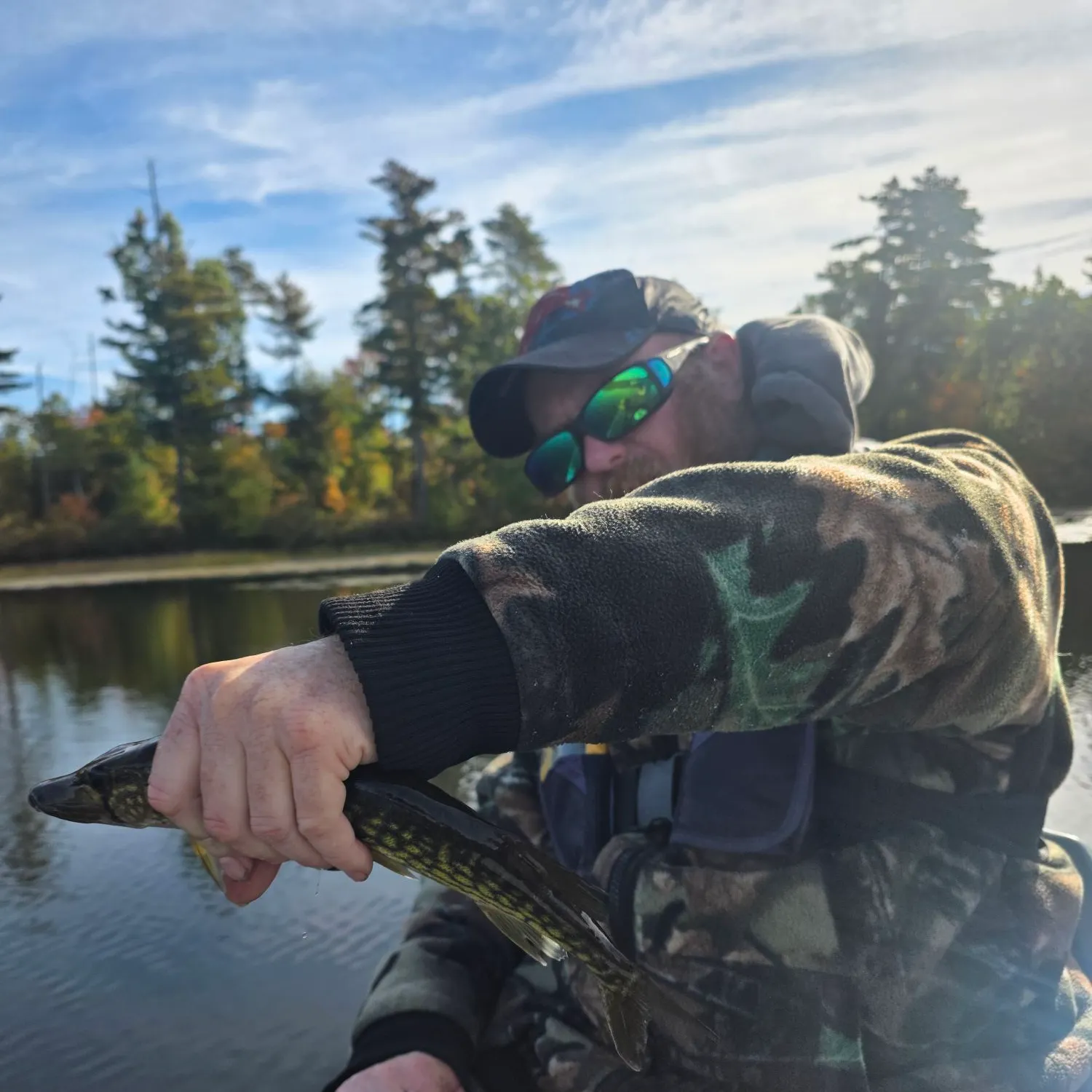 Chain pickerel caught on Fishbrain