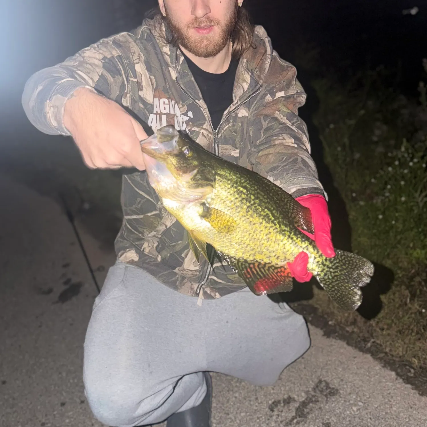 Black crappie caught on Fishbrain