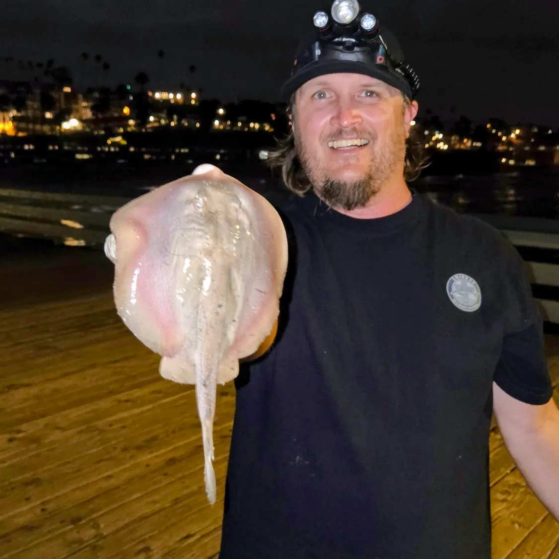 The most recent Haller's round ray catches on Fishbrain