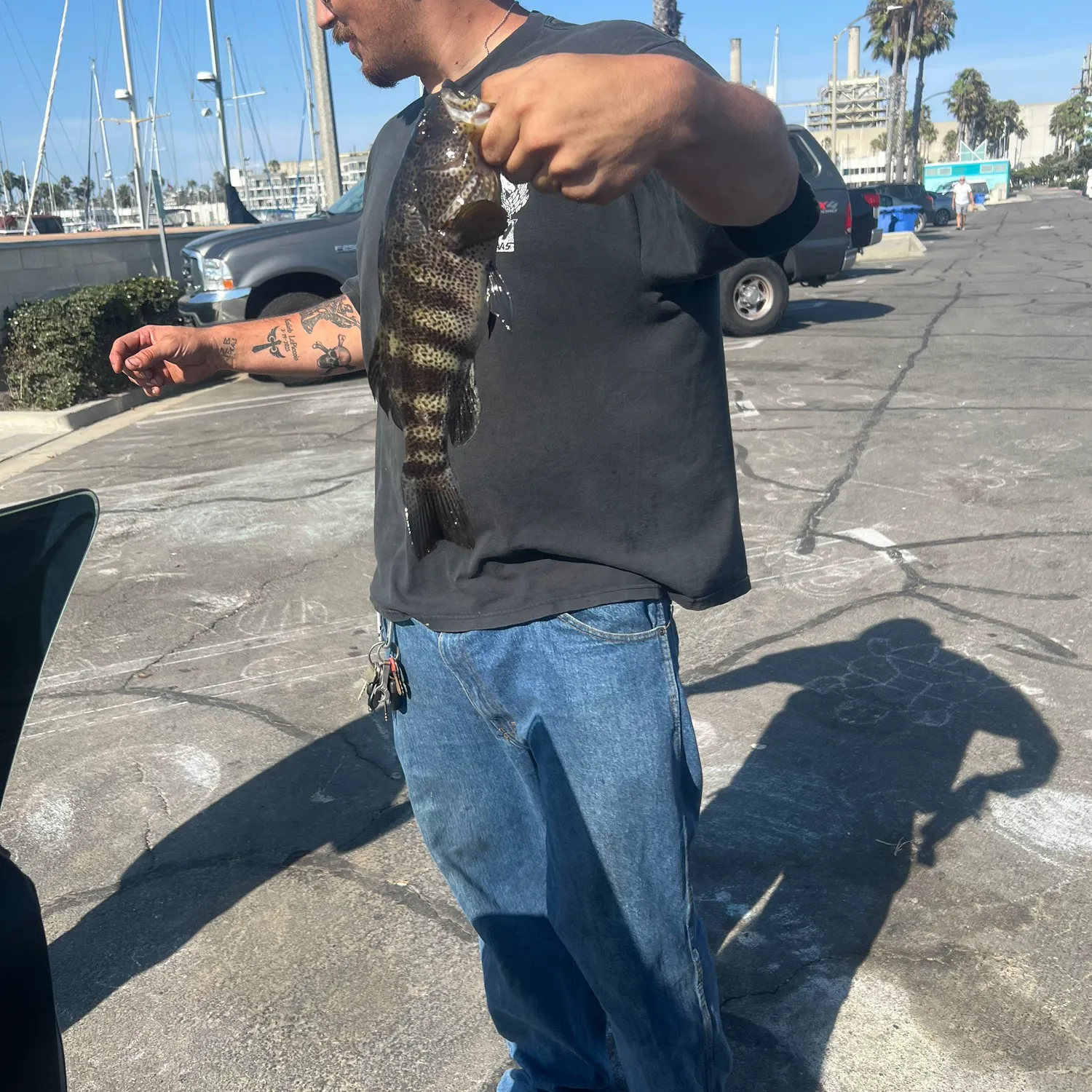 catch