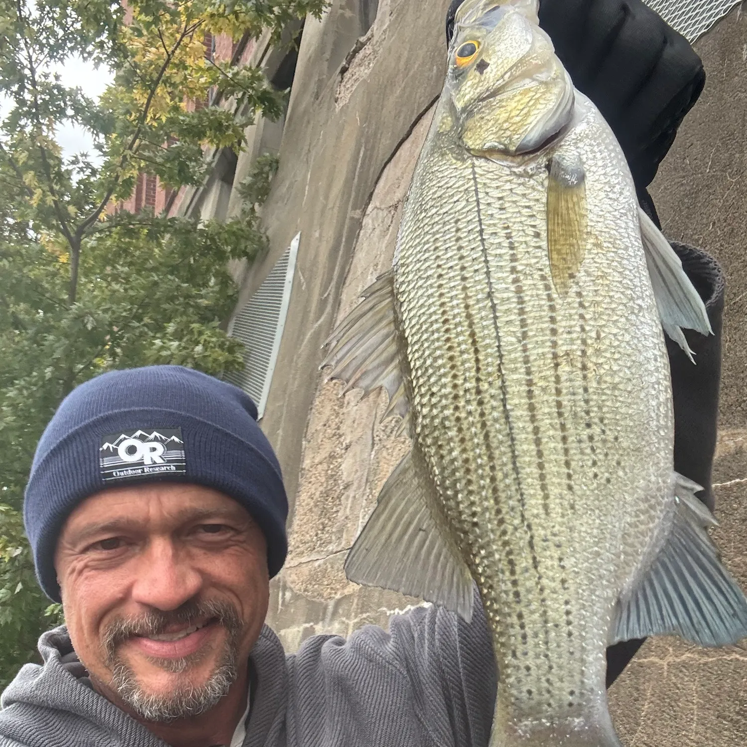 Wiper caught on Fishbrain