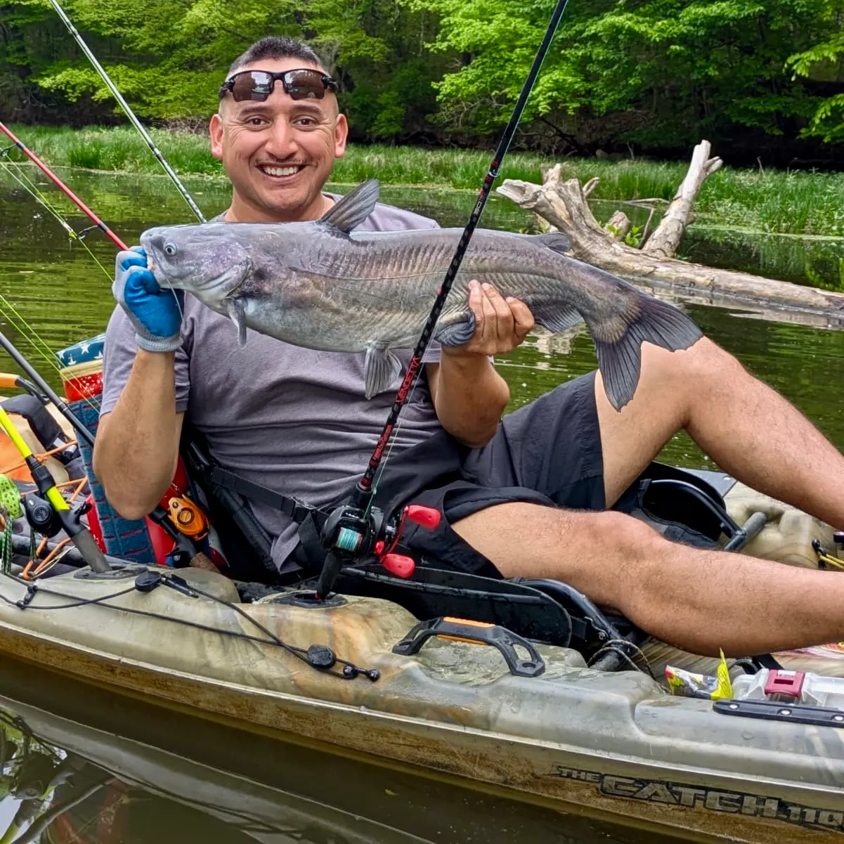 recently logged catches