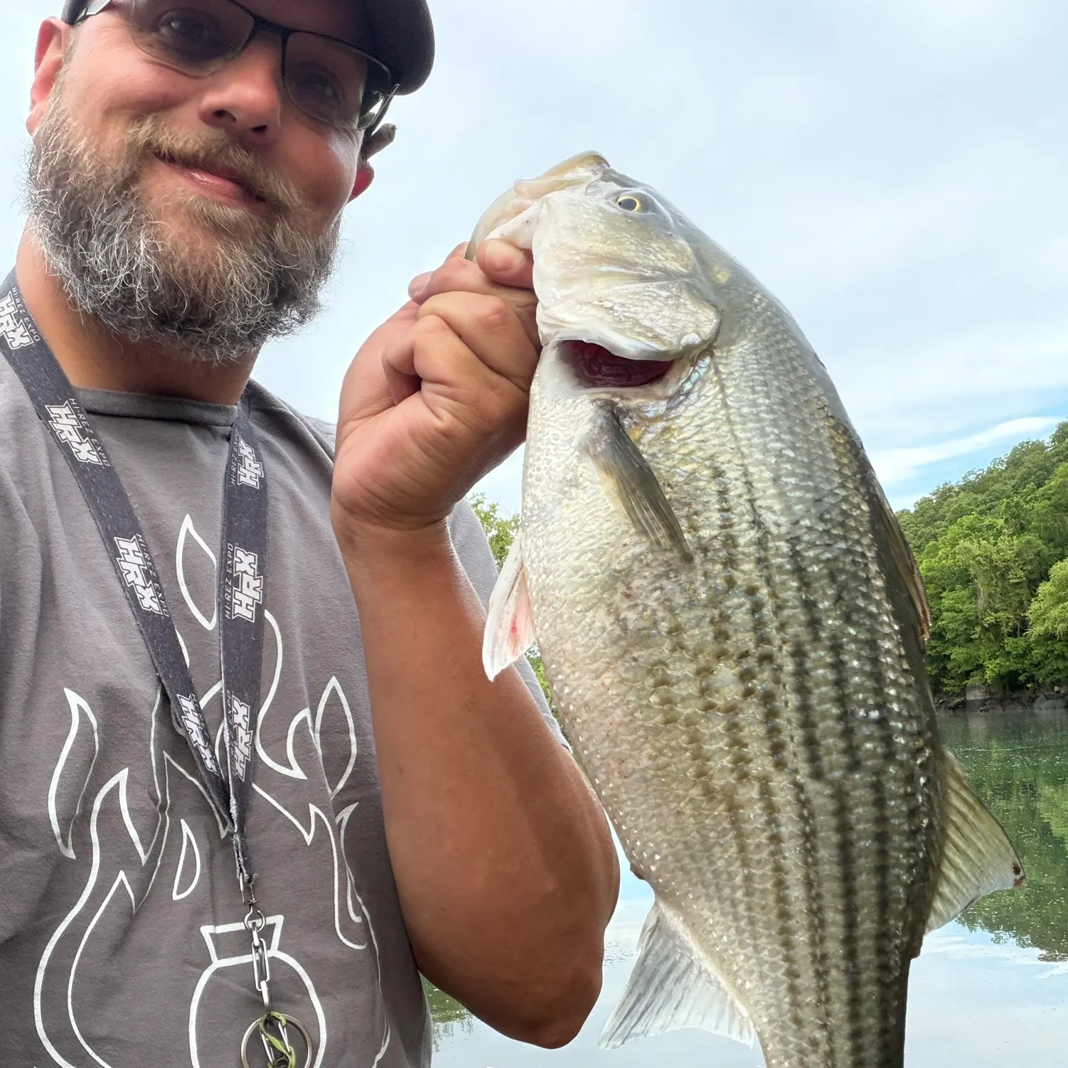 The most recent Hybrid striped bass catches on Fishbrain