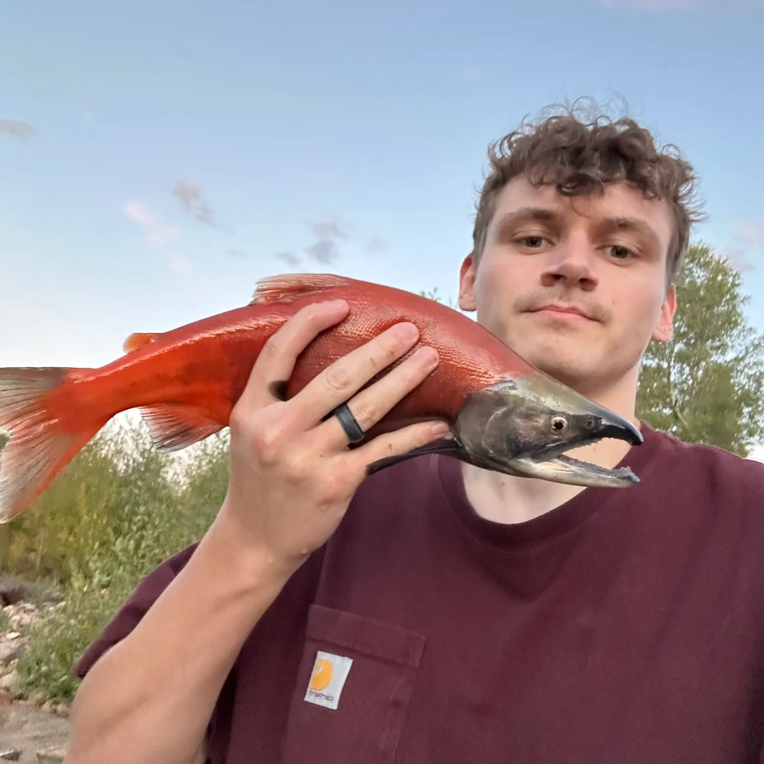 The most recent Kokanee salmon catches on Fishbrain