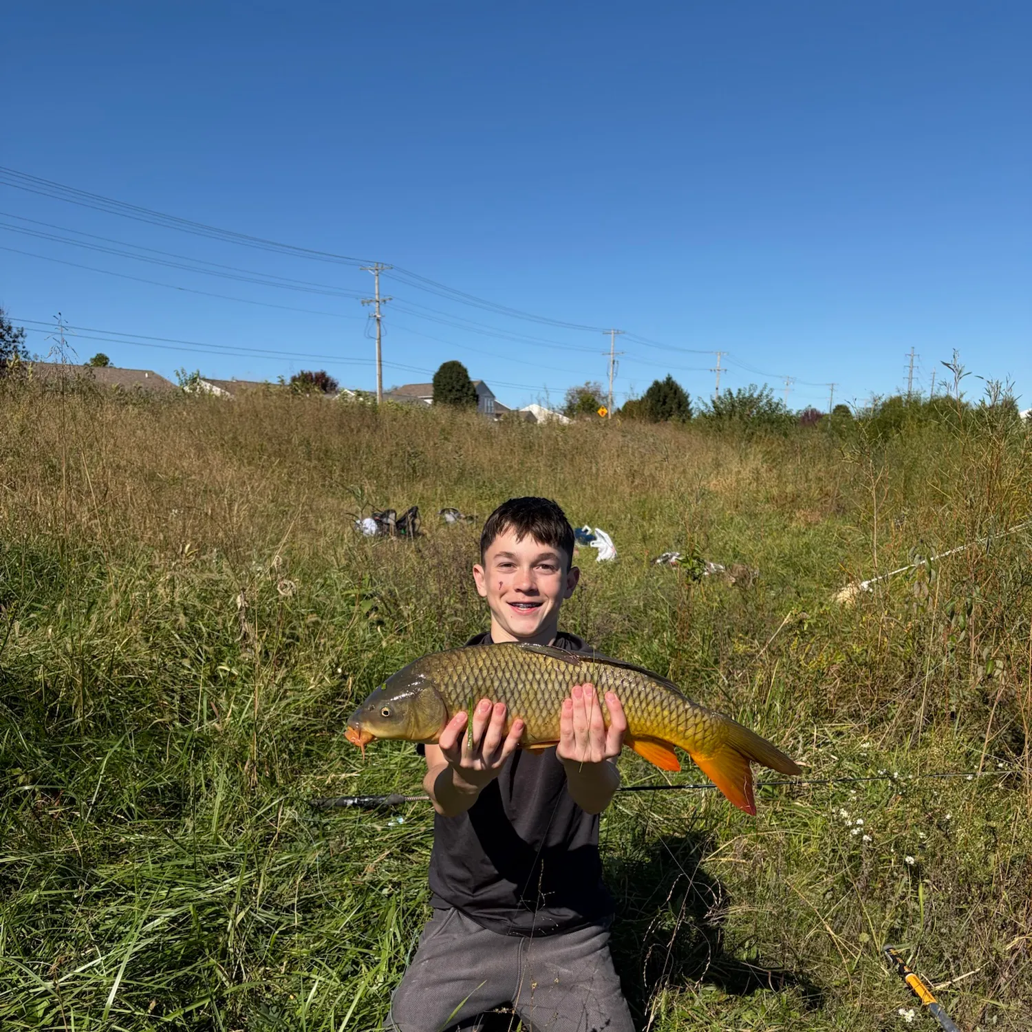 Common carp caught on Fishbrain