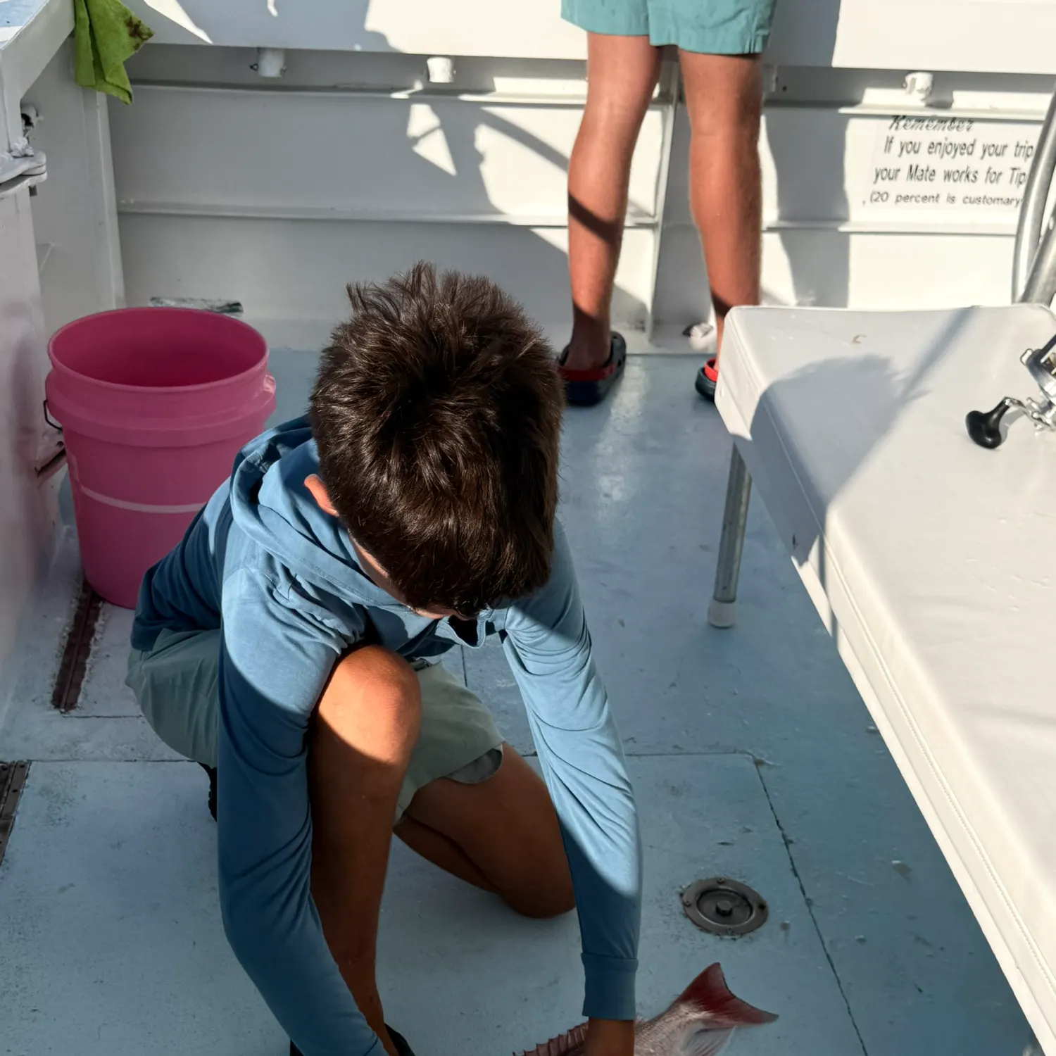 Northern red snapper caught on Fishbrain