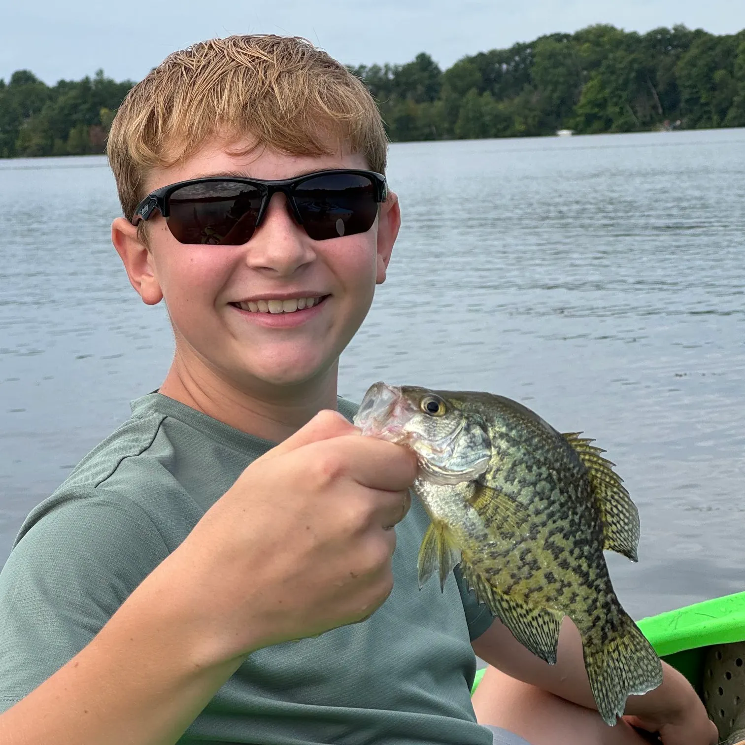 Black crappie caught on Fishbrain