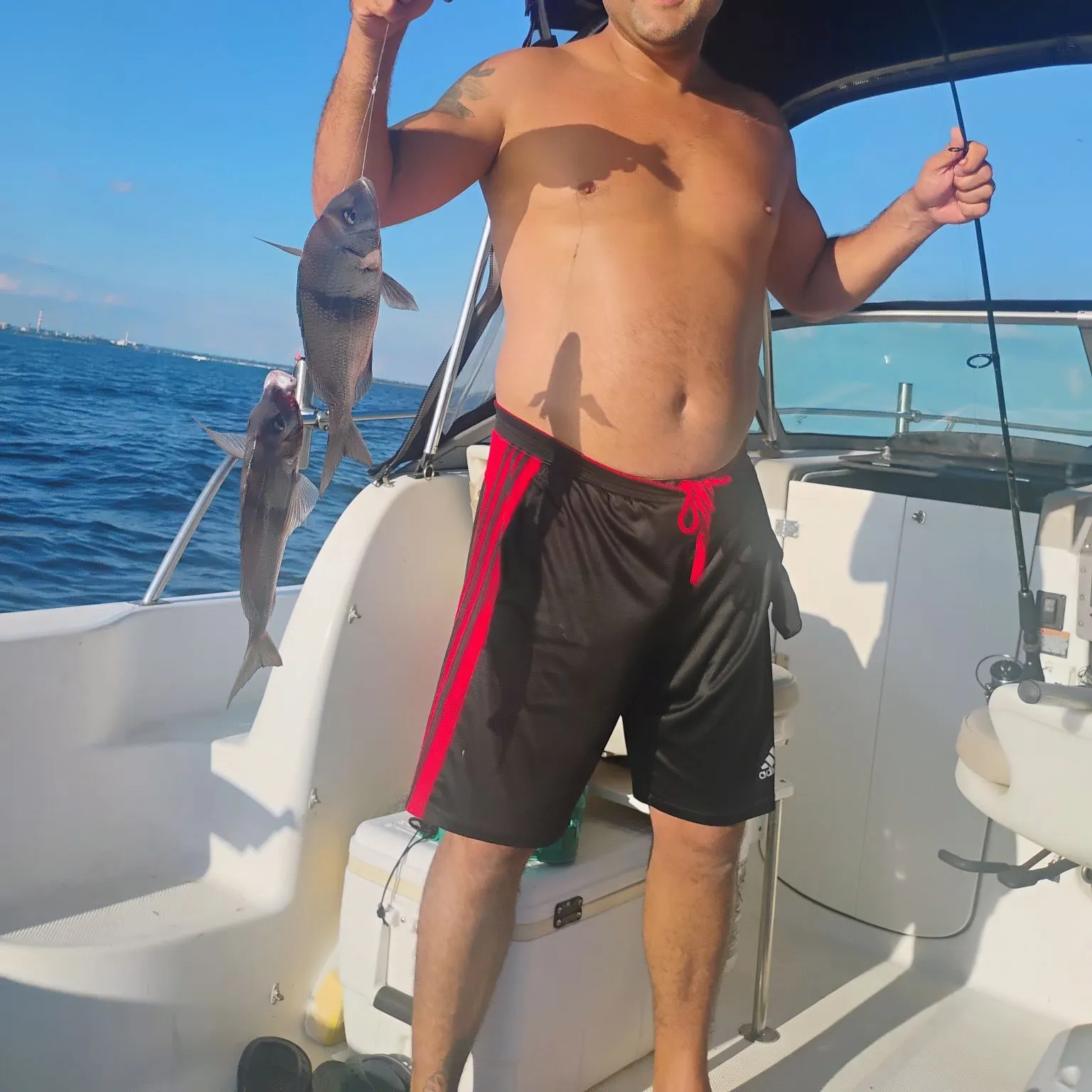 The most recent Silver porgy catches on Fishbrain