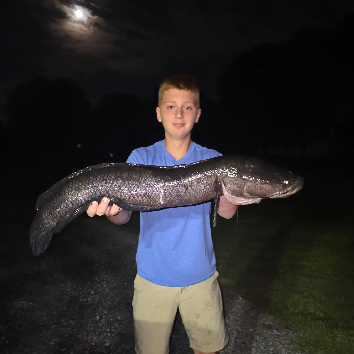 The most recent Northern snakehead catches on Fishbrain