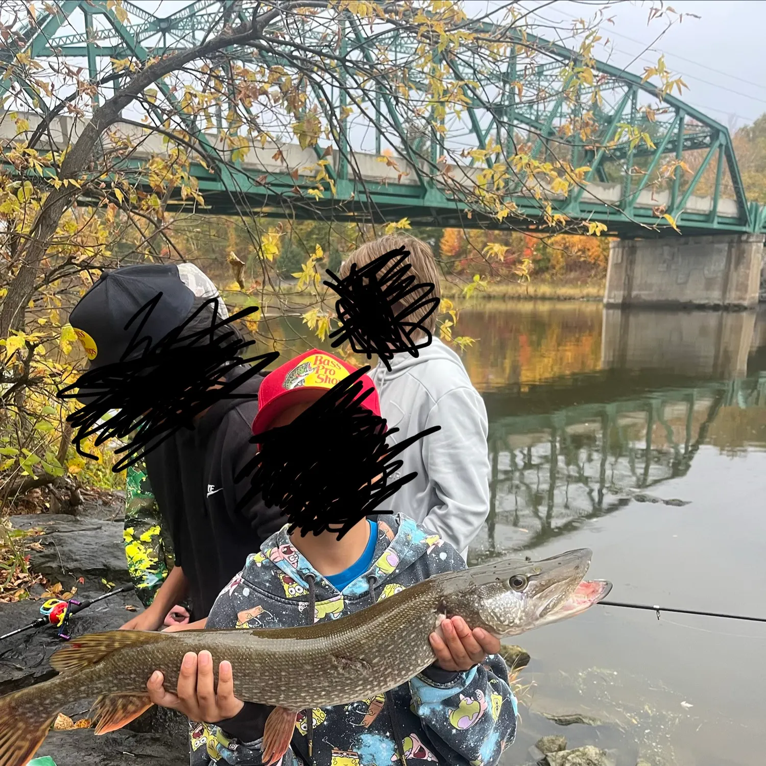 Northern pike caught on Fishbrain