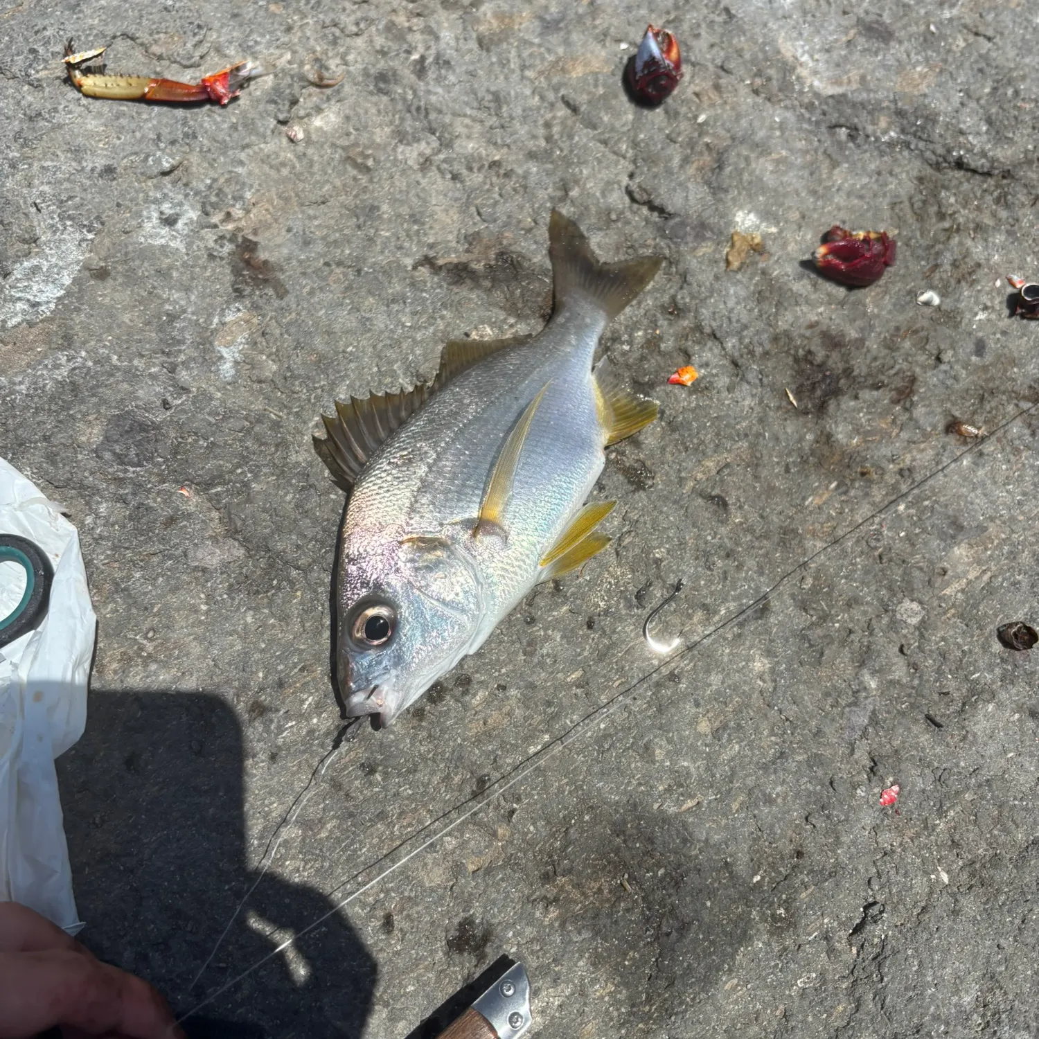 catch