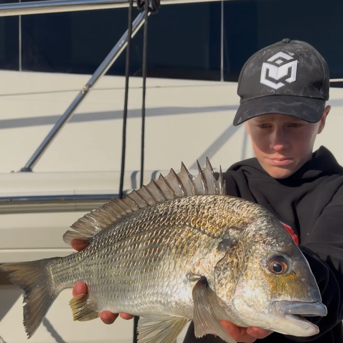 The most recent Surf bream catches on Fishbrain