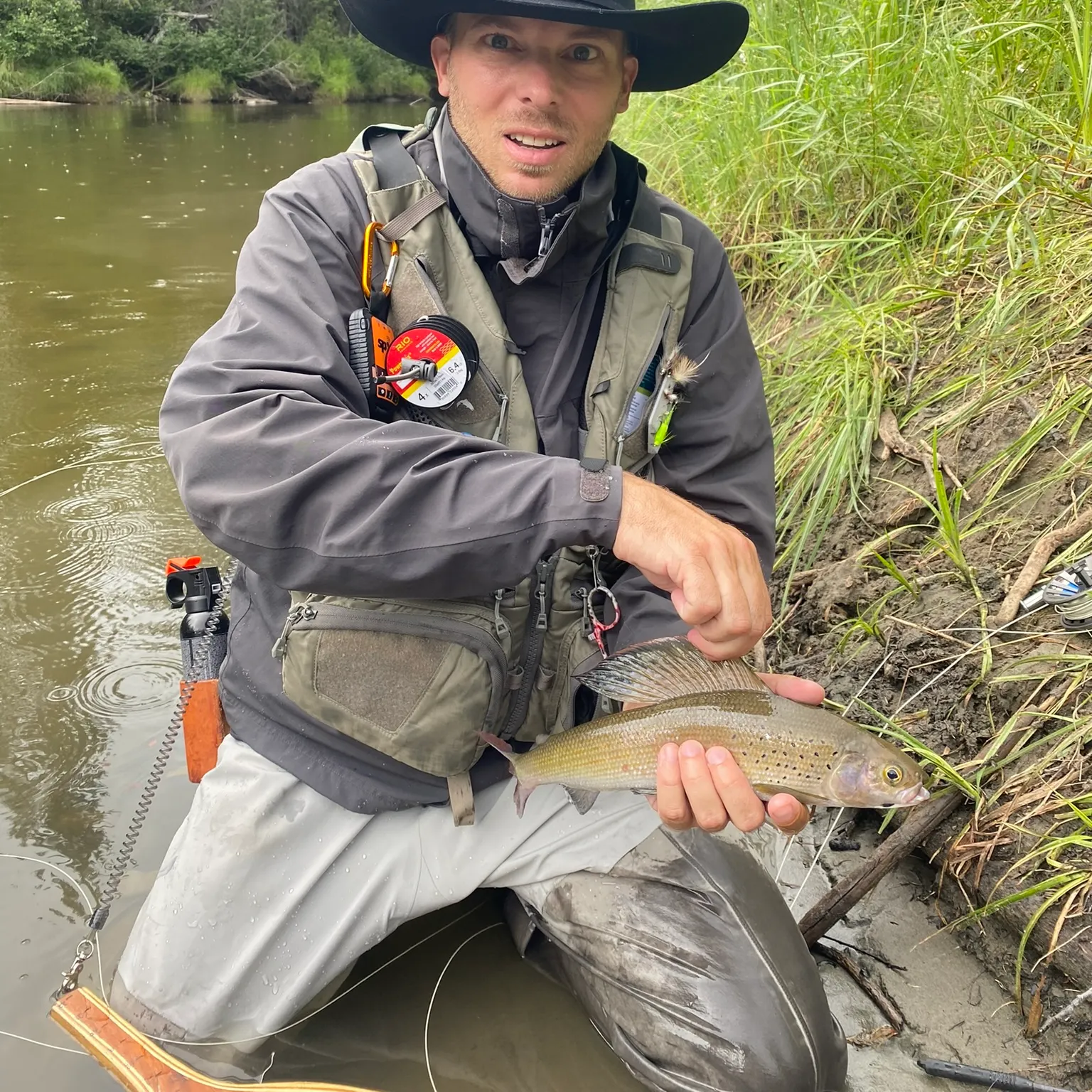 The most recent Arctic grayling catches on Fishbrain