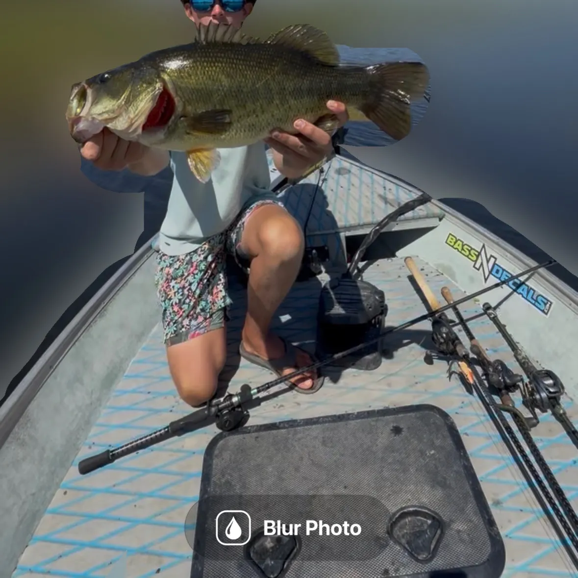 Largemouth bass caught on Fishbrain