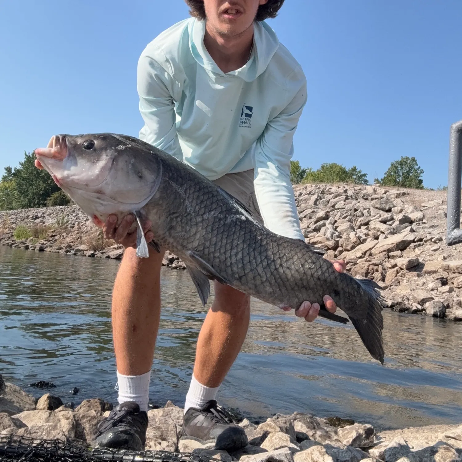 Bigmouth buffalo caught on Fishbrain