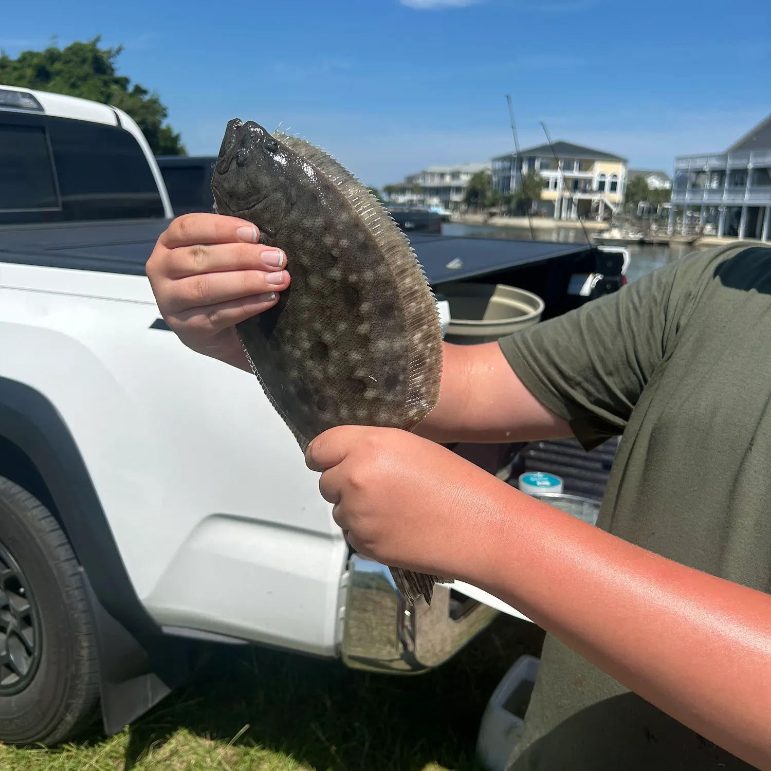 The most recent Summer flounder catches on Fishbrain