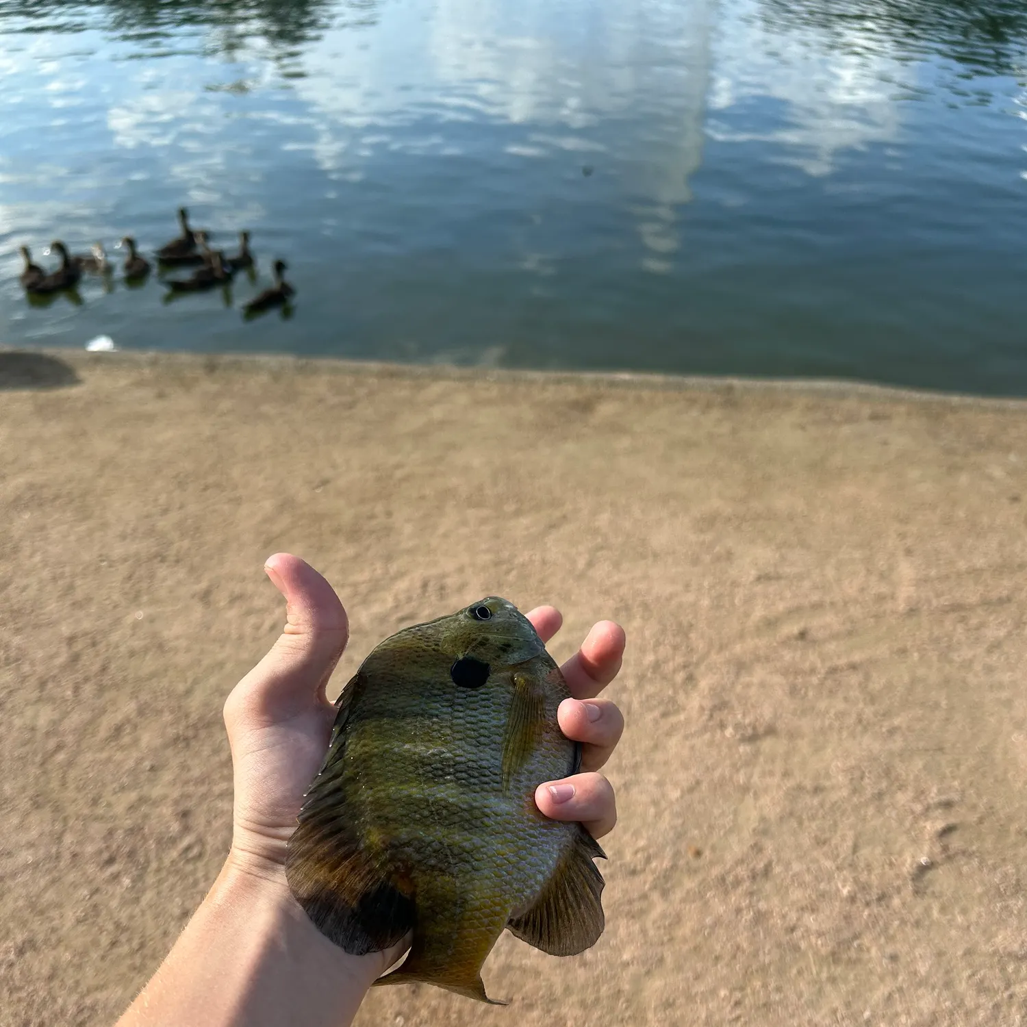 catch