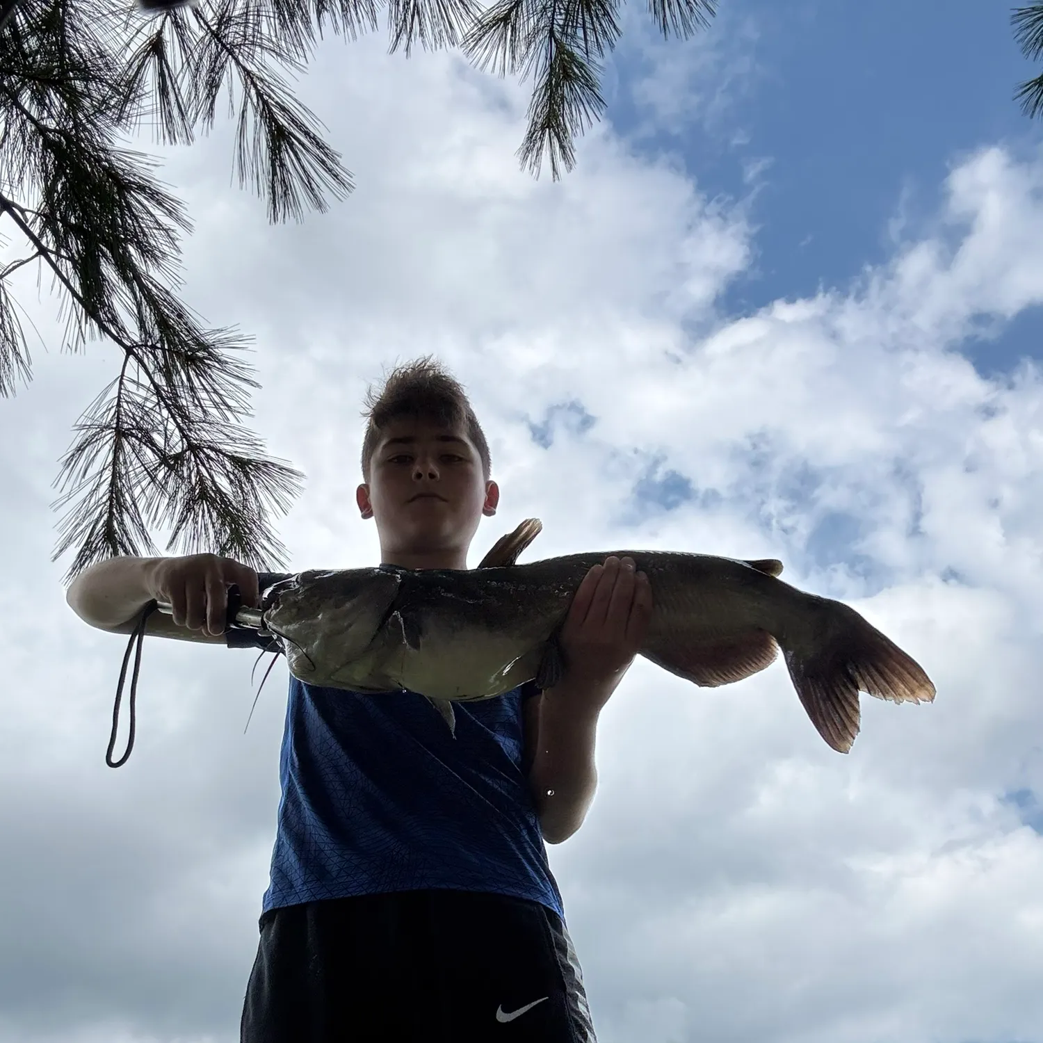 Channel catfish caught on Fishbrain