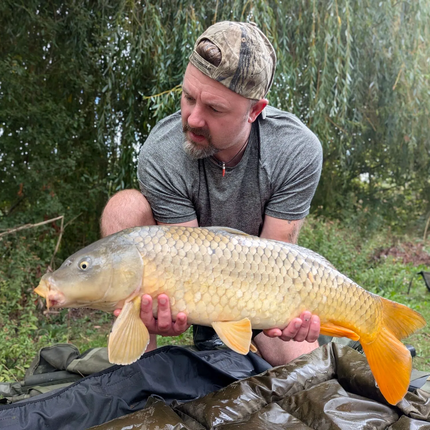 Common carp caught on Fishbrain