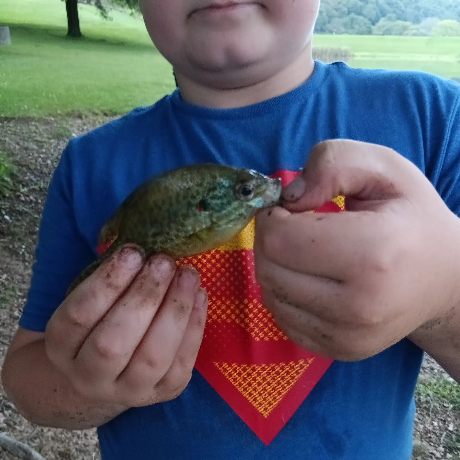 Fish caught on Fishbrain