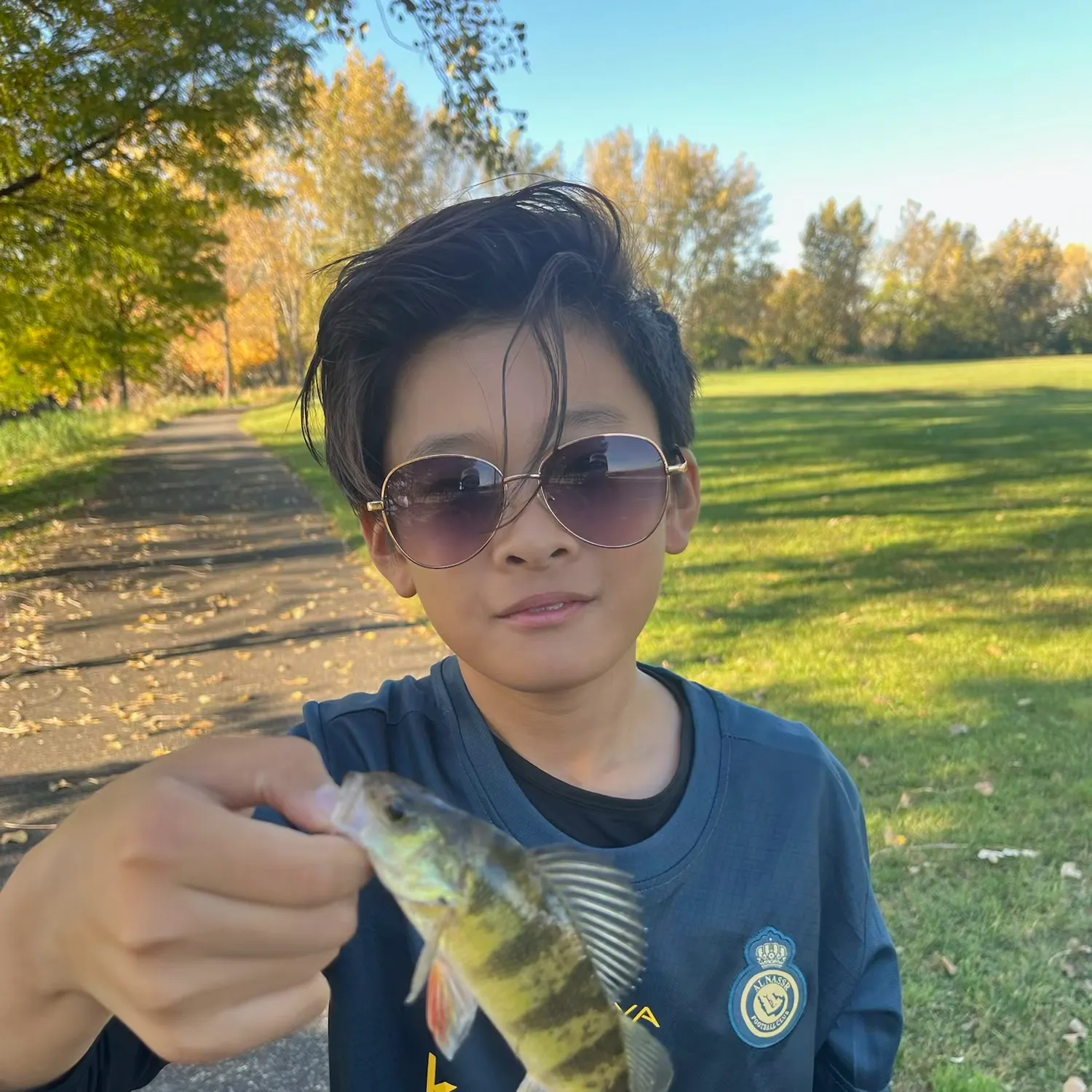 Yellow perch caught on Fishbrain