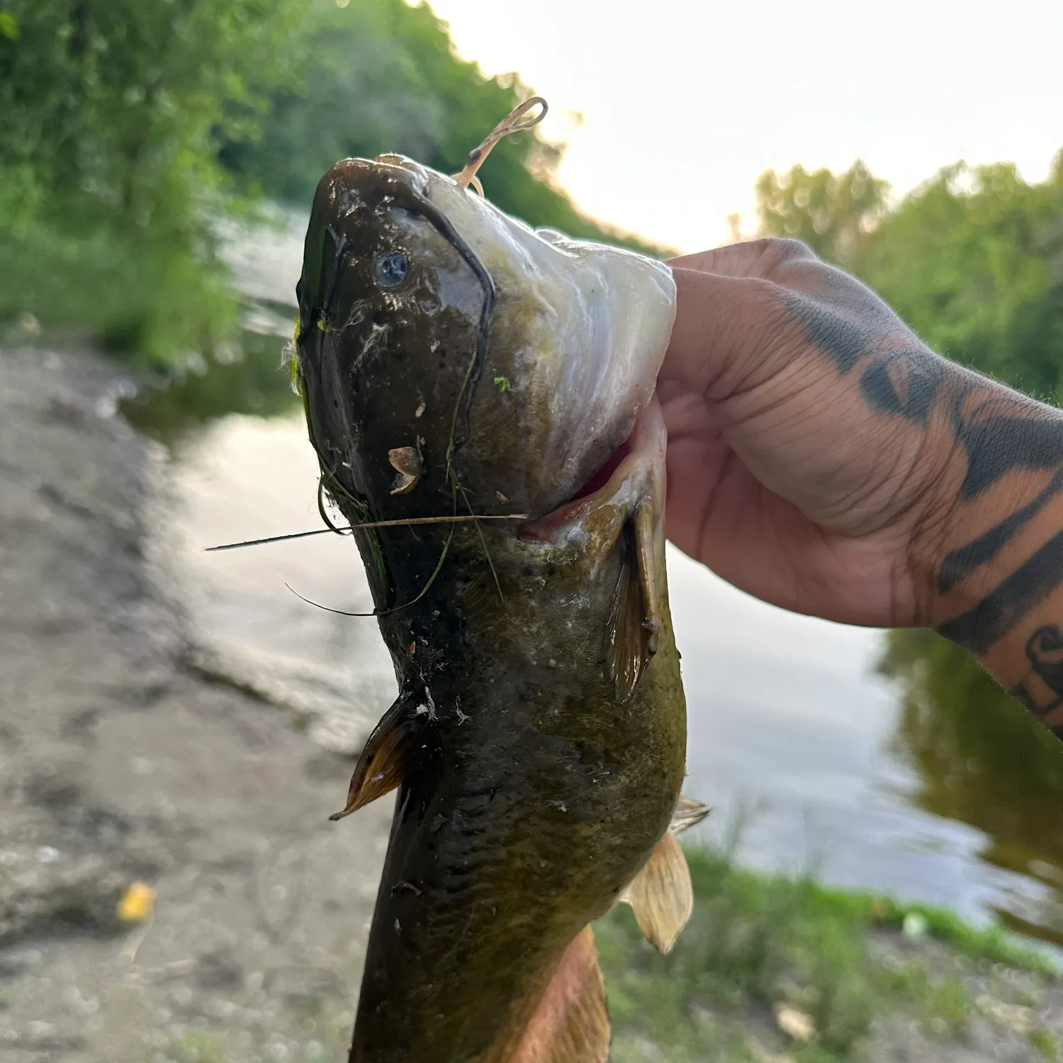 catch